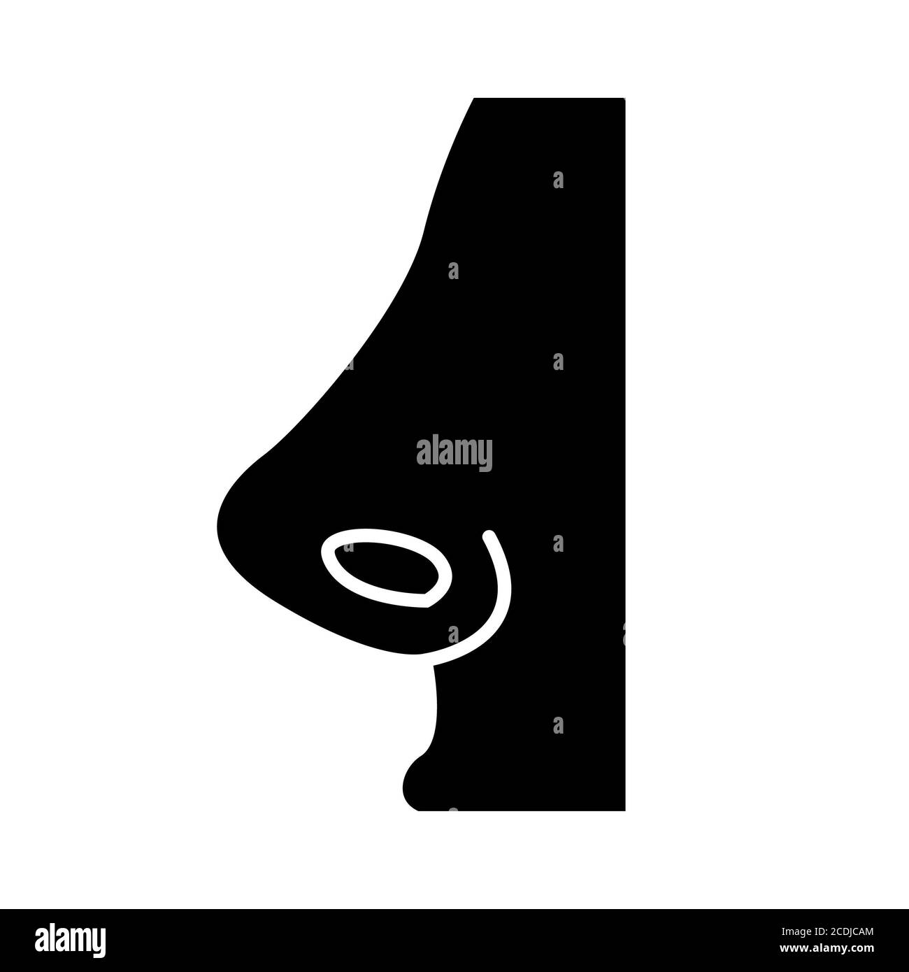 Symbole Der Nasenanatomie Stockfoto