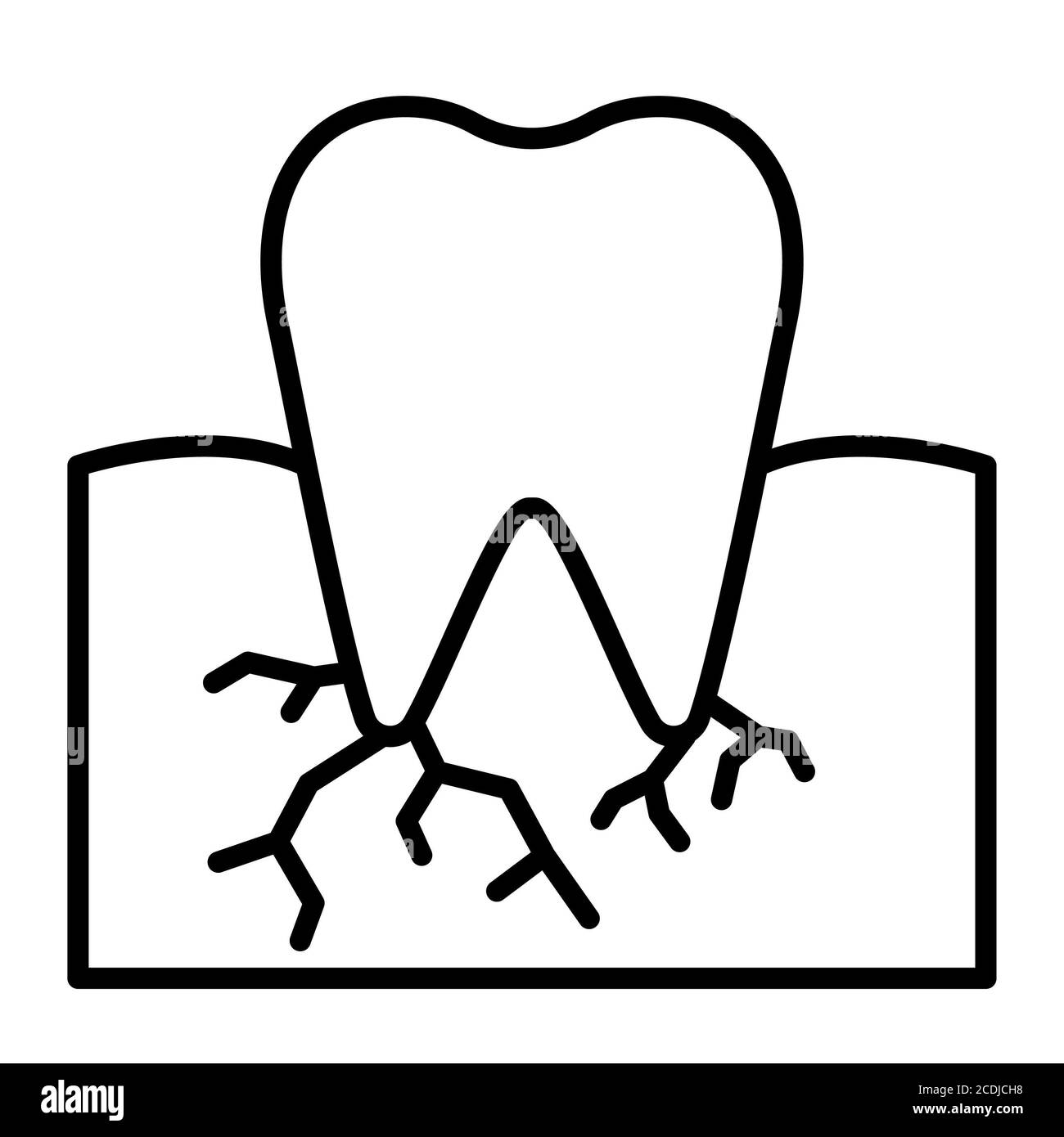 Symbol Für Die Zahnanatomie Stockfoto