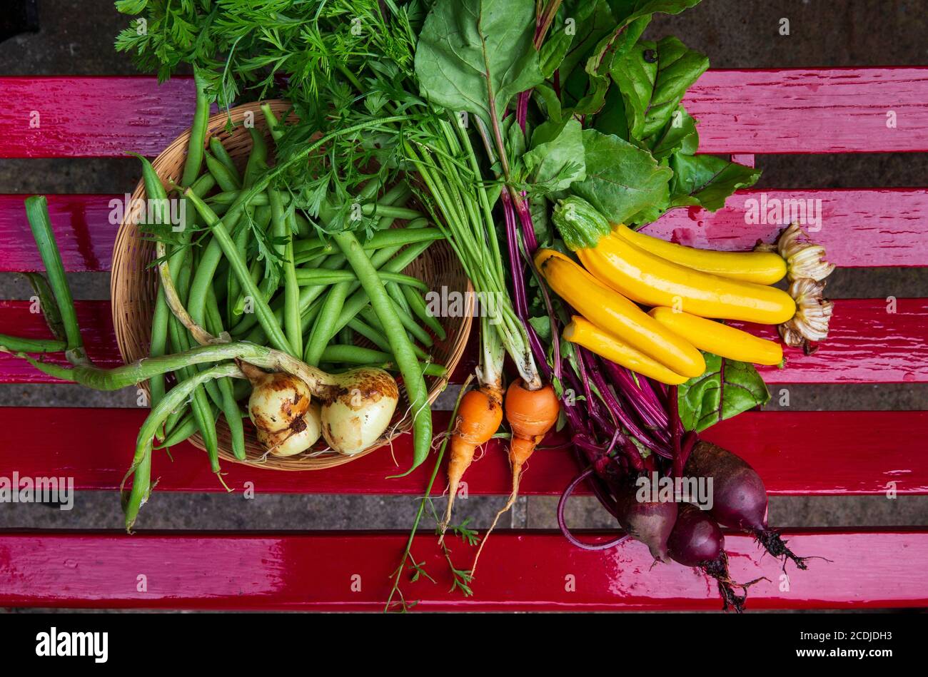 Bio-Gemüse, bunte Zuchini Stockfoto