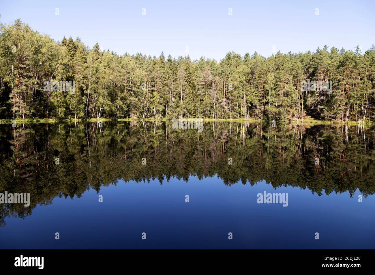 Teufelssee in der Nähe von Aglona, Lettland. Der See, auf Lettisch als Velnezers bekannt, ist angeblich kein Leben zu halten. Stockfoto
