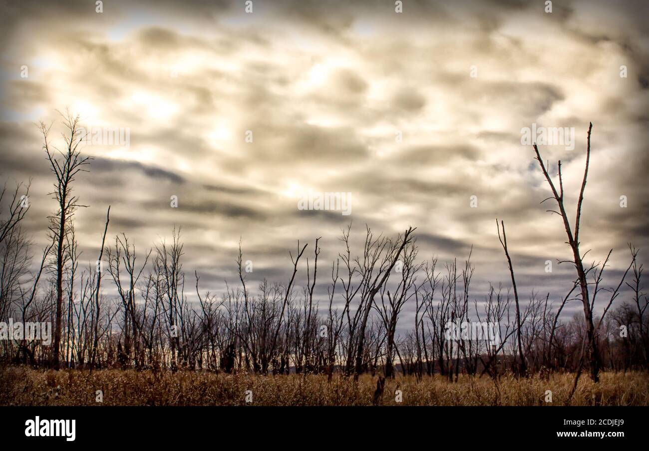 Schnee Himmel Stockfoto