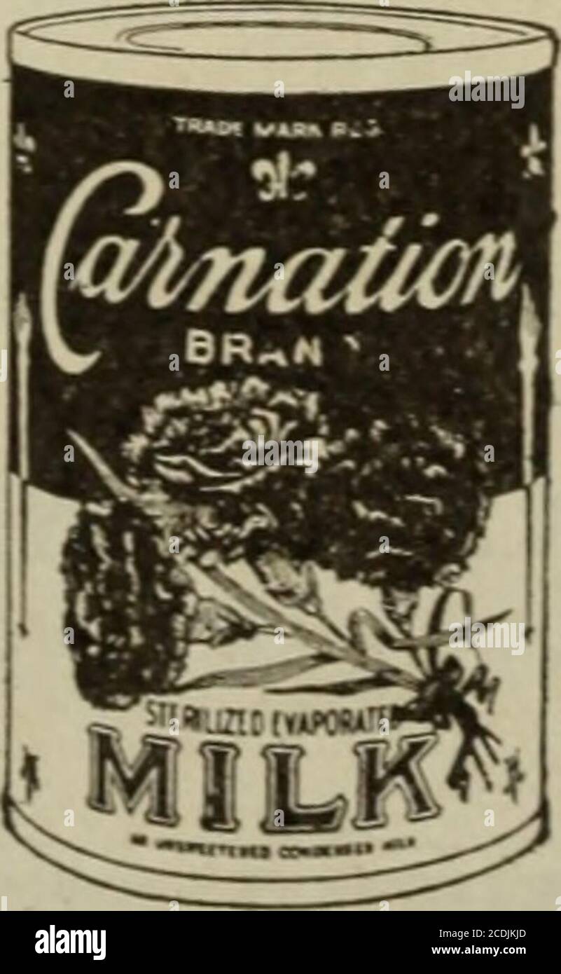 . Amerikanische Küche . bevor Sie Carnation einen gleichen Teil Wasser hinzufügen, erhalten Sie Milch von natürlicher Konsistenz. Verwenden Sie Carnation überall dort, wo Sie Milch beim Kochen verwenden.Verwenden Sie es unverdünnt auf Getreide und in Kaffee. Schlagen Sie es für Desserts und Salate, denn es kann wie Sahne geschlagen werden. Der einzige Unterschied zwischen Nelkenmilch und Frischmilch besteht darin, dass ein Teil des Wassers durch Verdunstung von Nelkenmilch entfernt wurde. Verwechseln Sie Nelkenmilch nicht mit gesüßter, kondensierter Milch, denn sie enthält Ho-Zucker und ist sterilisiert. Schreiben Sie für die Geschichte der Nelkenmilch, die 100 sorgfältig getestet, wirtschaftliche rec enthält Stockfoto