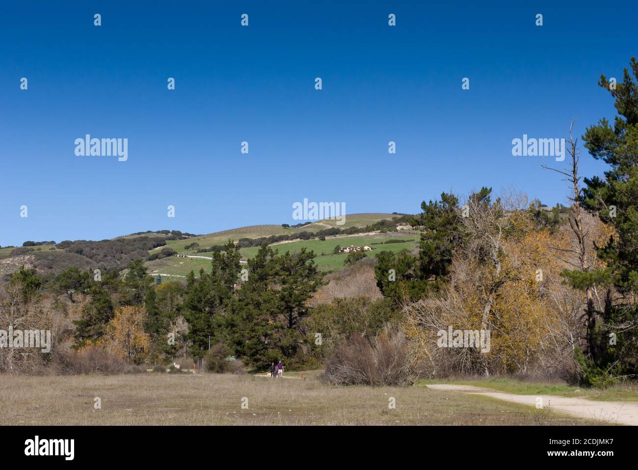 Hügel Mit Blick Auf Garland Ranch Regional Park Stockfoto