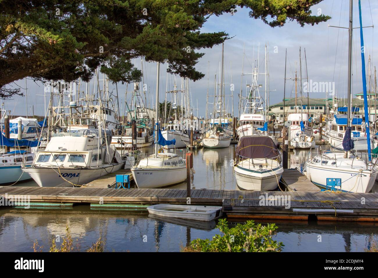 Boote in Moss Landing Harbor, Kalifornien Stockfoto