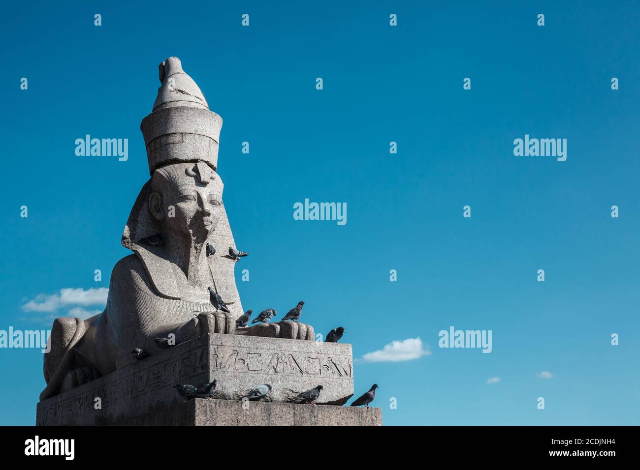Alte ägyptische Sphinx Skulptur aus grauem Granit gegen blauen Himmel, viele Tauben sitzen auf alten Skulptur Stockfoto