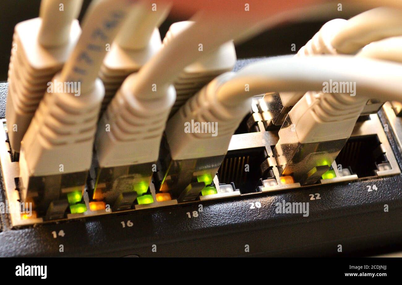 LAN-Kabel, die an einen Router angeschlossen sind Stockfoto
