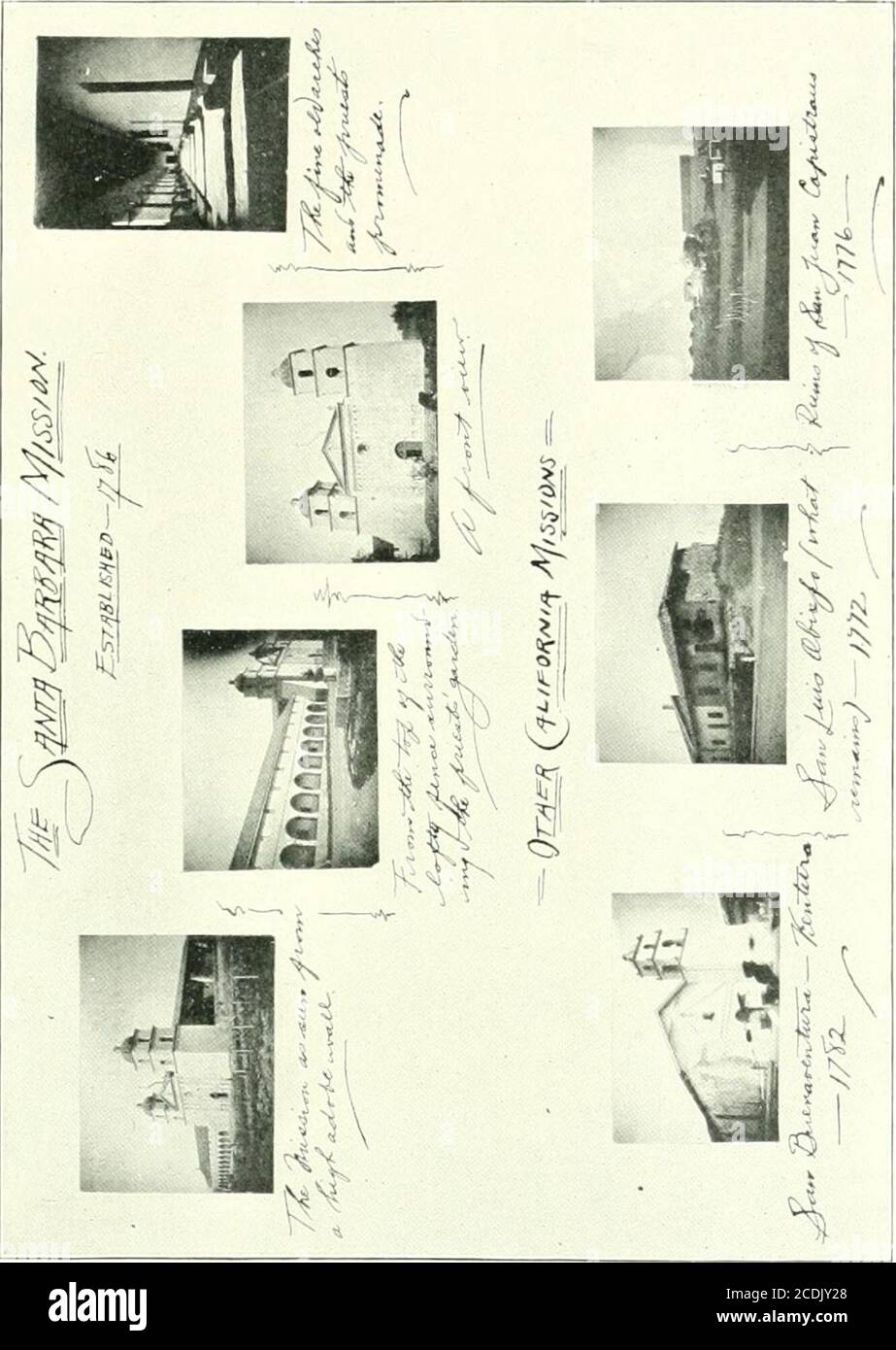 . Ralph's Schrottbuch . Produktion und hörte toblootl Gerinnungsgeschichten von ihren Erfahrungen mit wilden Bestien.Unsere Reise auf der anderen Seite des Berges am nächsten Morgen war eine Wiederholung der natürlichen Pracht des Vortages, mit uns in das reiche Carpenteria Tal, bekannt für seine [.iroduction von lima Bohnen, Walnüsse und die größte Weinrebe der Welt. Diese Weinrebe ist ein Naturwunder. Ich habe die weltbekannte Rebe in HamptonCourt, England, gesehen und mir wurde gesagt, dass diese Rebe für die Größe den Champion-Gürtel anbete. Es ist nur ein Baby im Vergleich zu diesem Gartenbauwunder in Carpenteria, C. Stockfoto