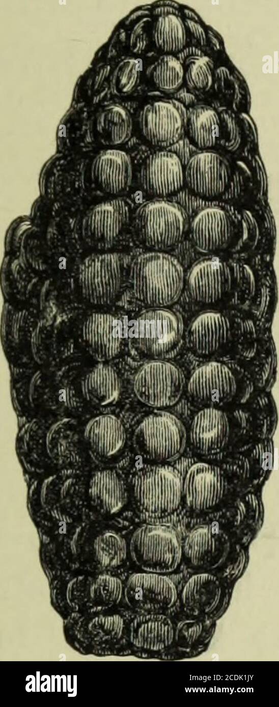 Spanische Schriftsteller Stockfotos Und Bilder Kaufen Alamy