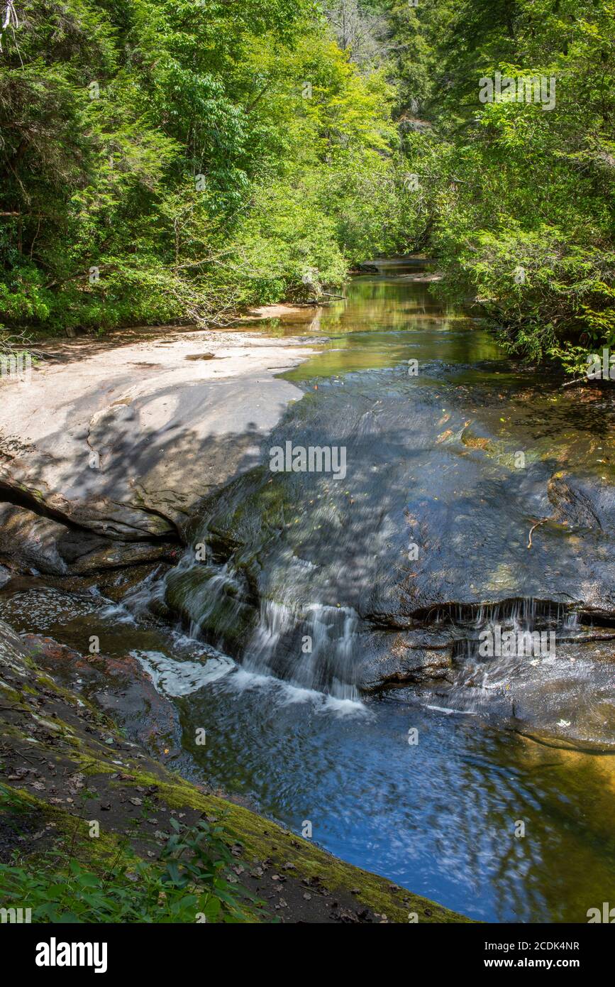 Eagle Creek, ein kleiner, klarer Bach unterhalb der Cumberland Falls am Cumberland River im Südosten von Kentucky. Stockfoto