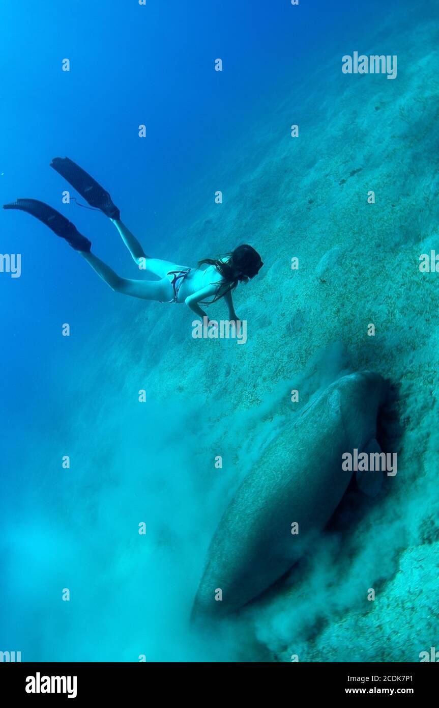 Mädchen und Seekühe Stockfoto