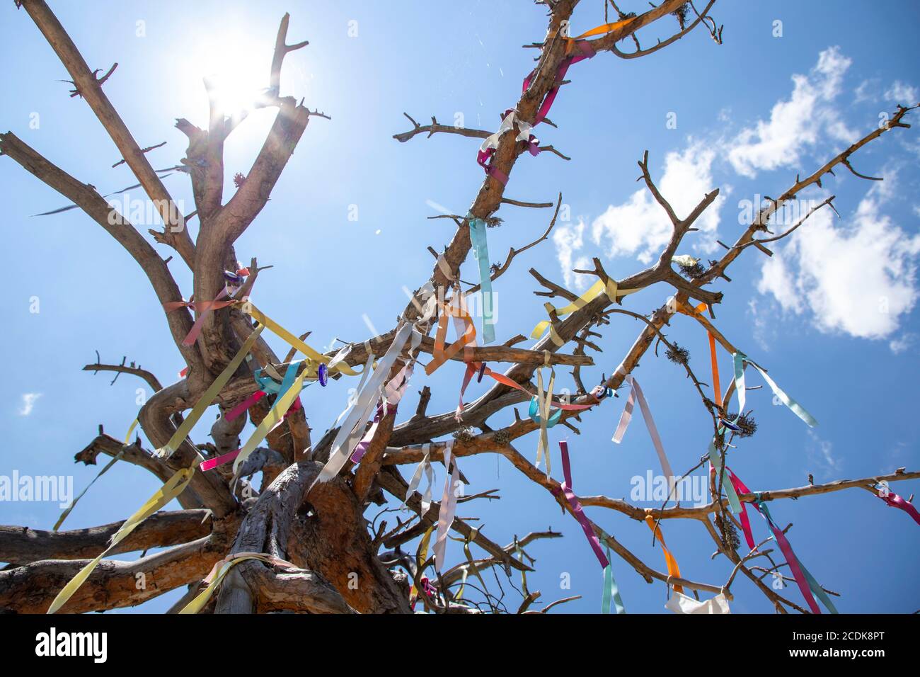 Wunsch Baum mit einem Seil auf seinen Ästen Stockfoto