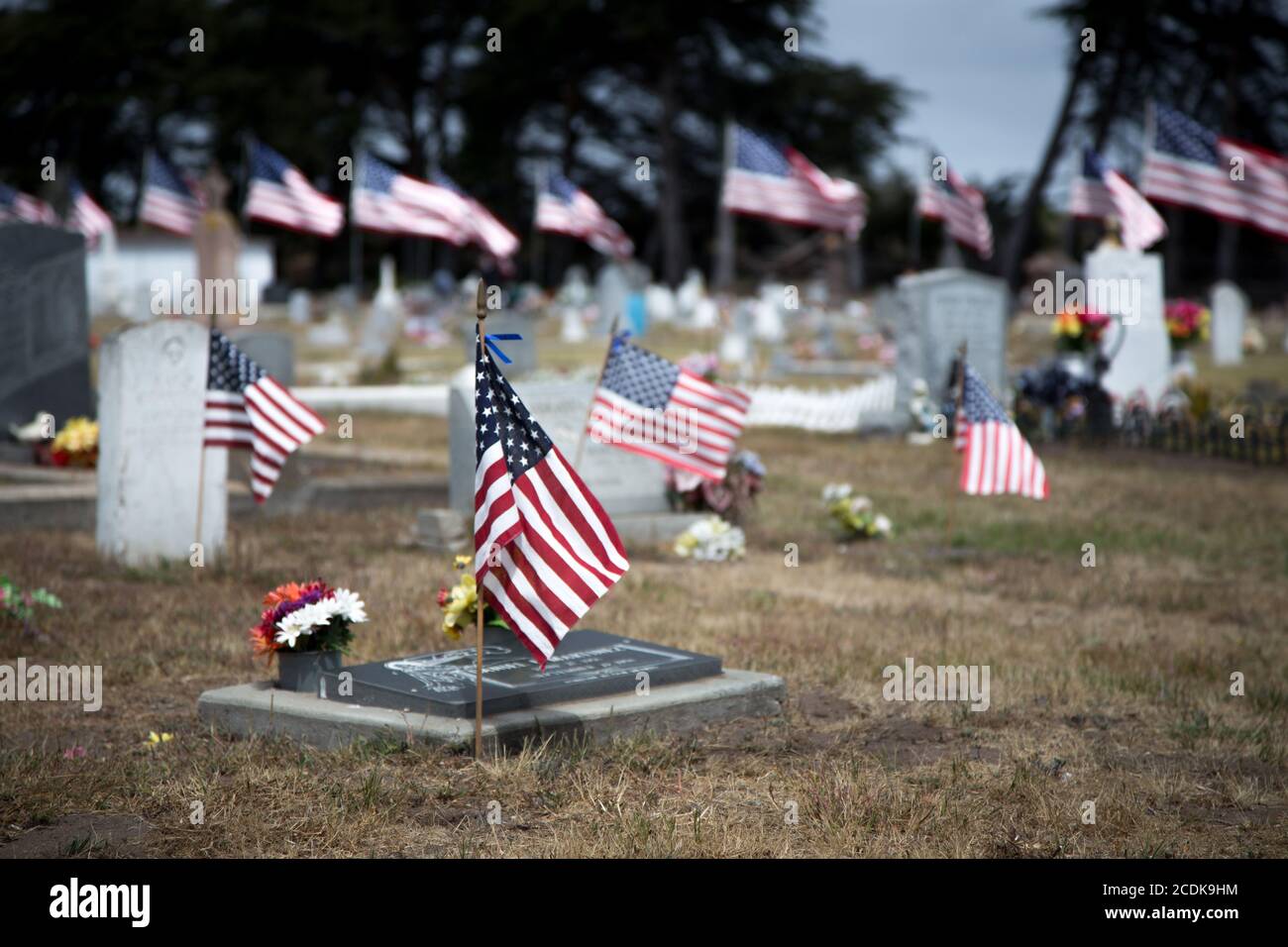 Amerikanische Flaggen Zu Ehren Von Kriegstoten Stockfoto