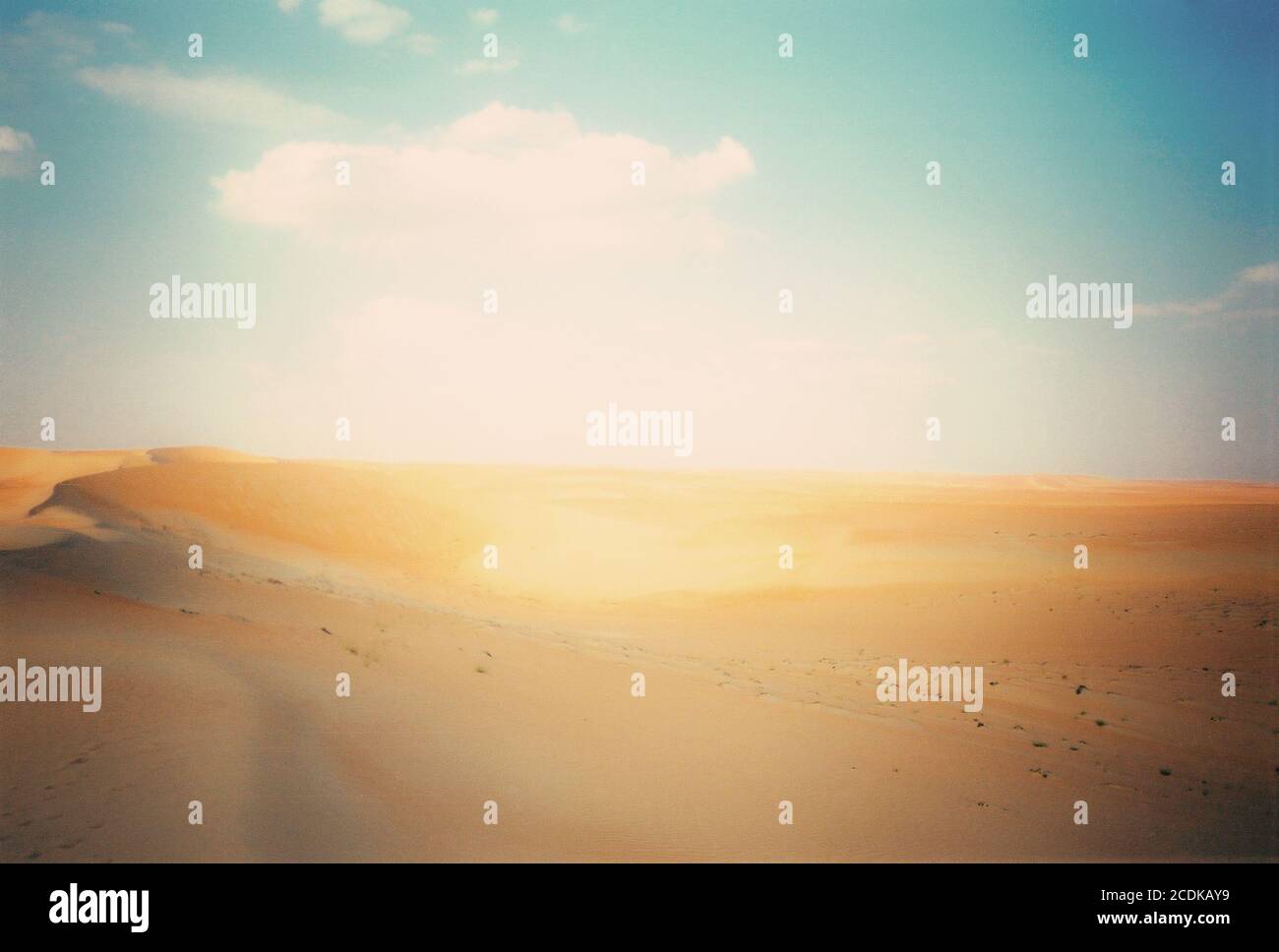 Dünen der Wüste Stockfoto