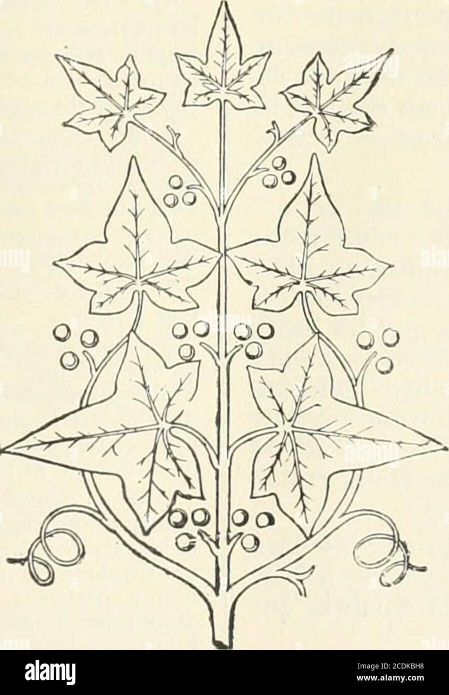 . Revue de l'Art chrétien . Preis: 150 frs. Marchai (E.) - Quelques considérations surlhistoire de la sculpture belge, dans le BulletindelAcadémie royale des Sciences, des lettres et desBeaux-Arts de Belgique, Nr. 4, 1898. Monchamp (Labbé). – Les reliques de sainteJulienne de Cornillon, a labbaye de Villers.Beitrag a lhistoire de son culte. - PTT. In-8., 31 S. Liège, L. Demarteau. * Nève (J.). - Le Martyre de saint Sébastien,tableau de Memling au Musée de Bruxelles. Tarideu (Kap.). – Sur lart au XIXe siècle,dans les Bulletins de VAcadémie royale de Belgique,1898. Van Even (E.). - Le contrat Stockfoto
