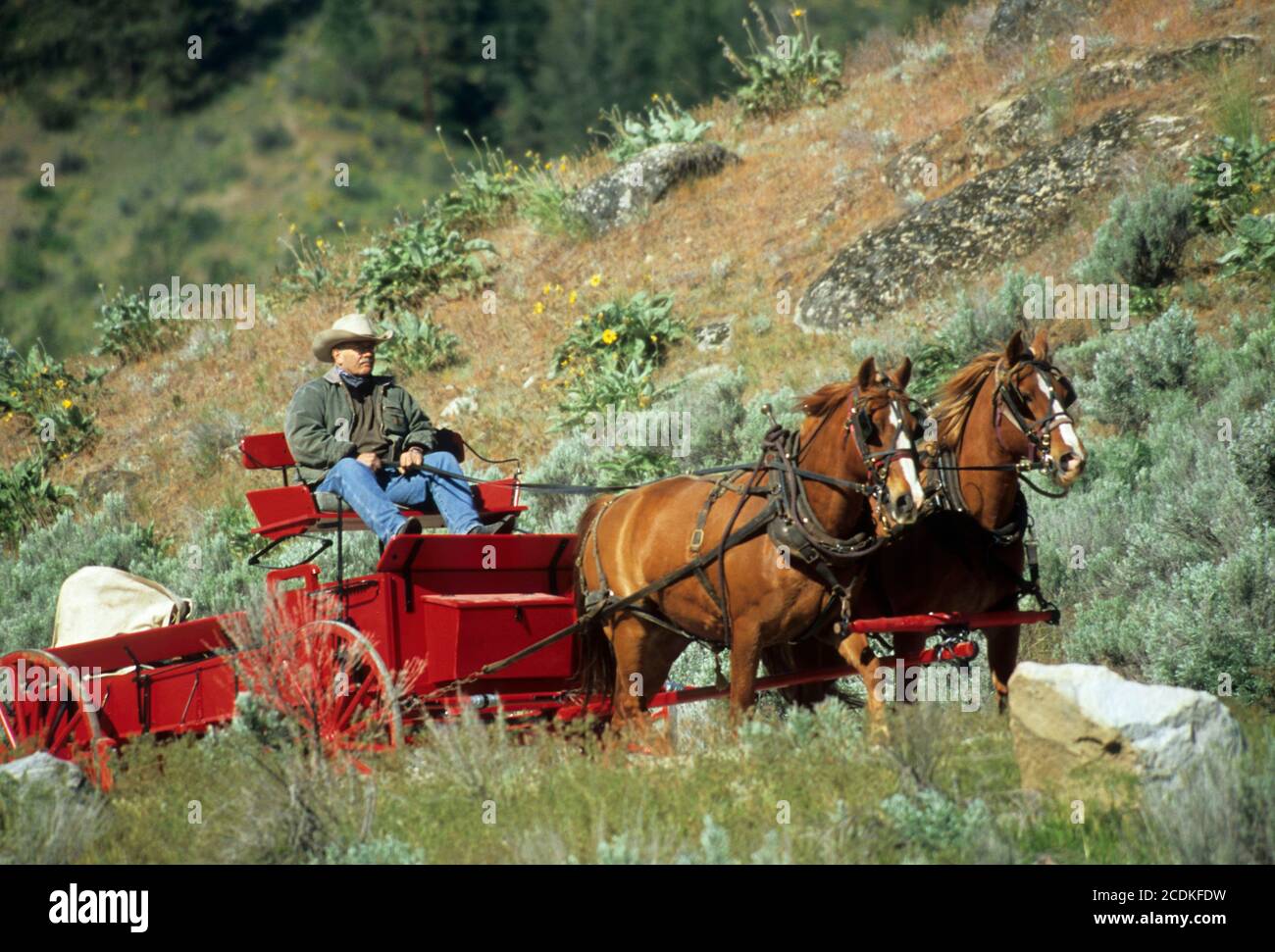 Fahrt zum Rendezvous Wagen, Okanogan County, Washington Stockfoto