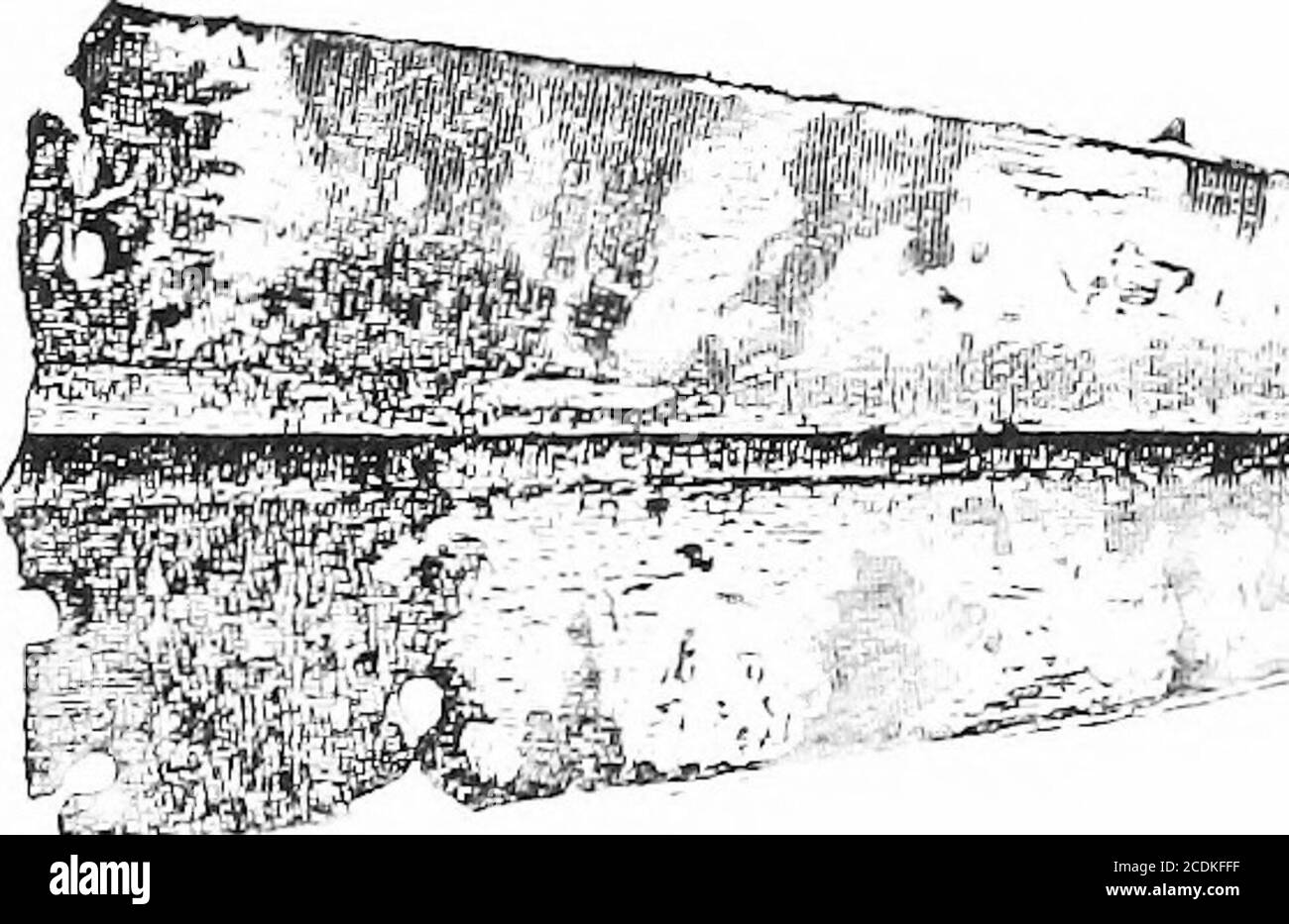 . Der Palast von Minos: Ein vergleichendes Konto der aufeinanderfolgenden Stadien der frühen kretischen Zivilisation, wie durch die Entdeckungen bei Knossos illustriert. Metall wurden jedoch,- gefunden bei Mochlosand twosilver Dolche, zu erwähnen unten, trat in Kumasa auf. Es treten nun dreieckige Kupferdolche auf, oft mit einer eingekerbten Basis (Abb. 70 II 45). Wie oben erwähnt, kann dies kaum der mostprimitive Typ sein, und wir müssen die Existenz von Kupferdolchen der einfacheren dreieckigen Form in der vorhergehenden E. M. I Periode voraussetzen. Unter den Xanthudides, E. APX-, i9 Nr. 4, P- 49. %• ^^•H 2 LOO DER PALAST VON MINOS, ETC. Stockfoto