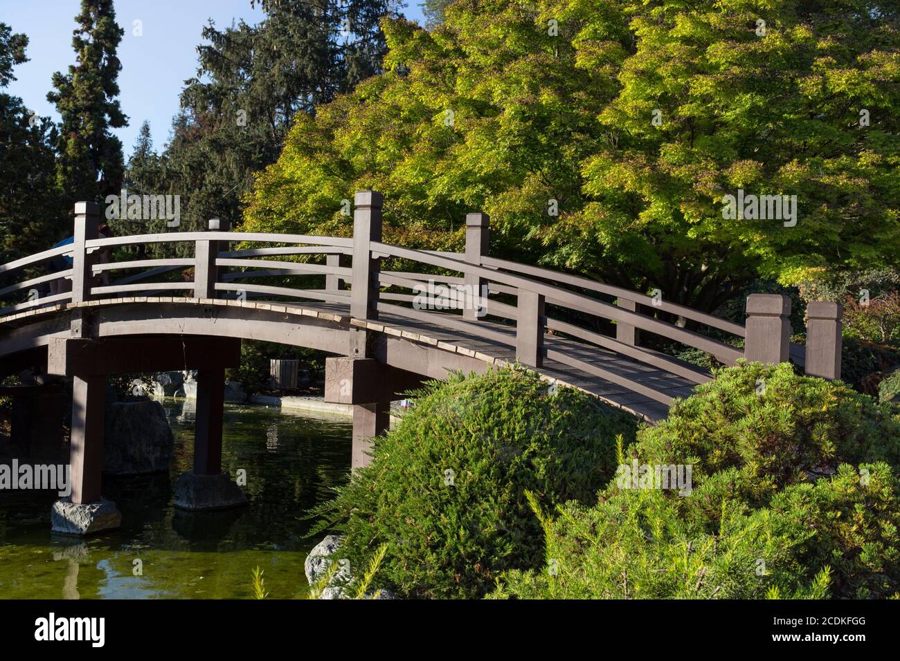 Japanische Fußgängerbrücke über Teich in Farbe Stockfoto