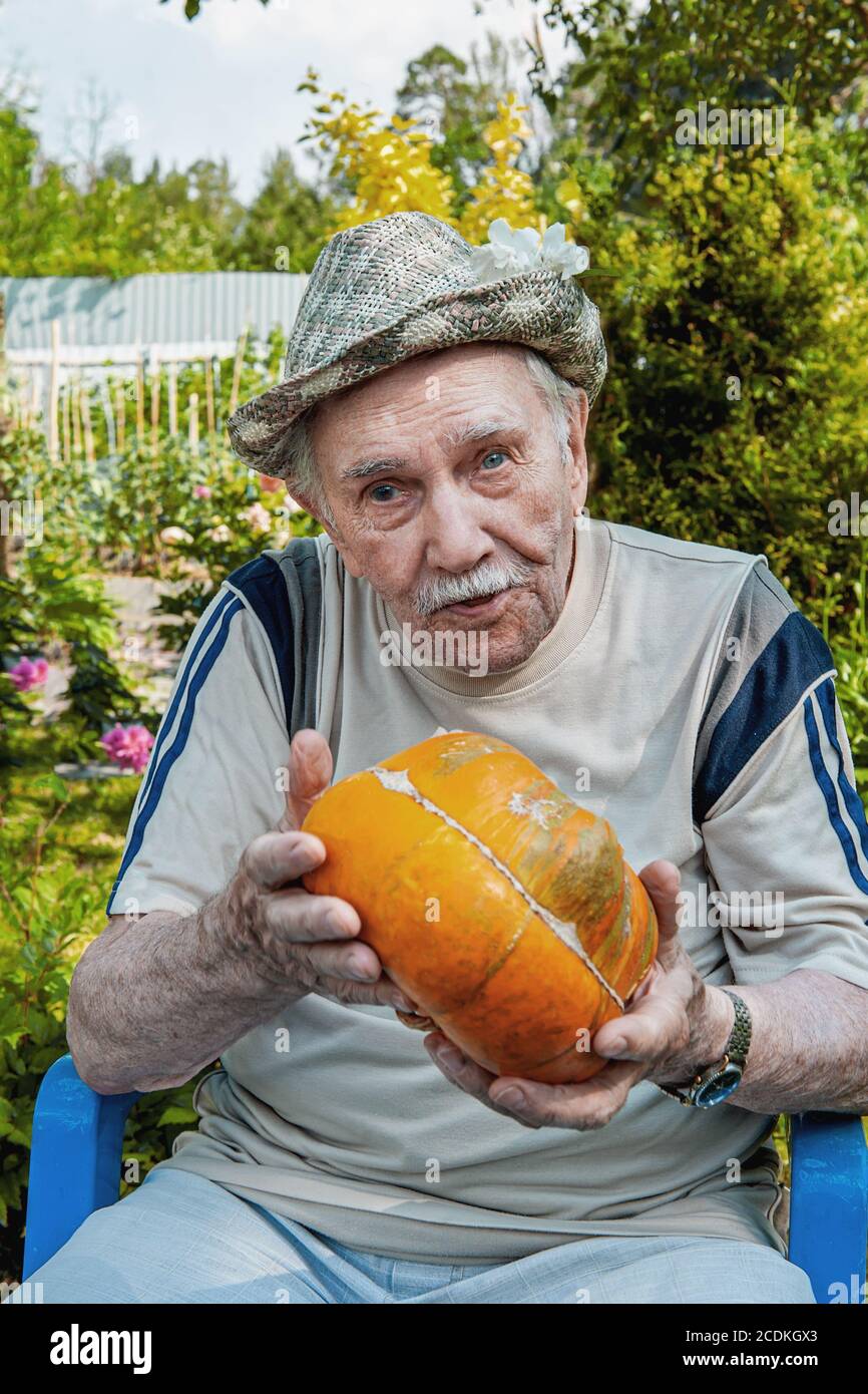 Alter Mann in einem Hut mit einem Kürbis im Garten. Gärtner hält einen reifen orangefarbenen Kürbis. Konzept des aktiven Alters Stockfoto