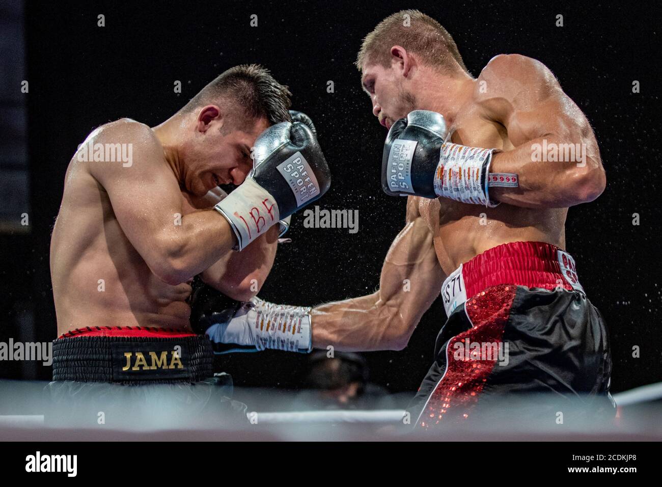 Berlin, Deutschland. August 2020. Boxen: IBF Intercontinental Middleweight Titel: Saidi (Köln) - Feigenbutz (Karlsruhe) in den Havelstudios. Jama Saidi (l) gegen Vincent Feigenbutz. Quelle: Andreas Gora/dpa/Alamy Live News Stockfoto