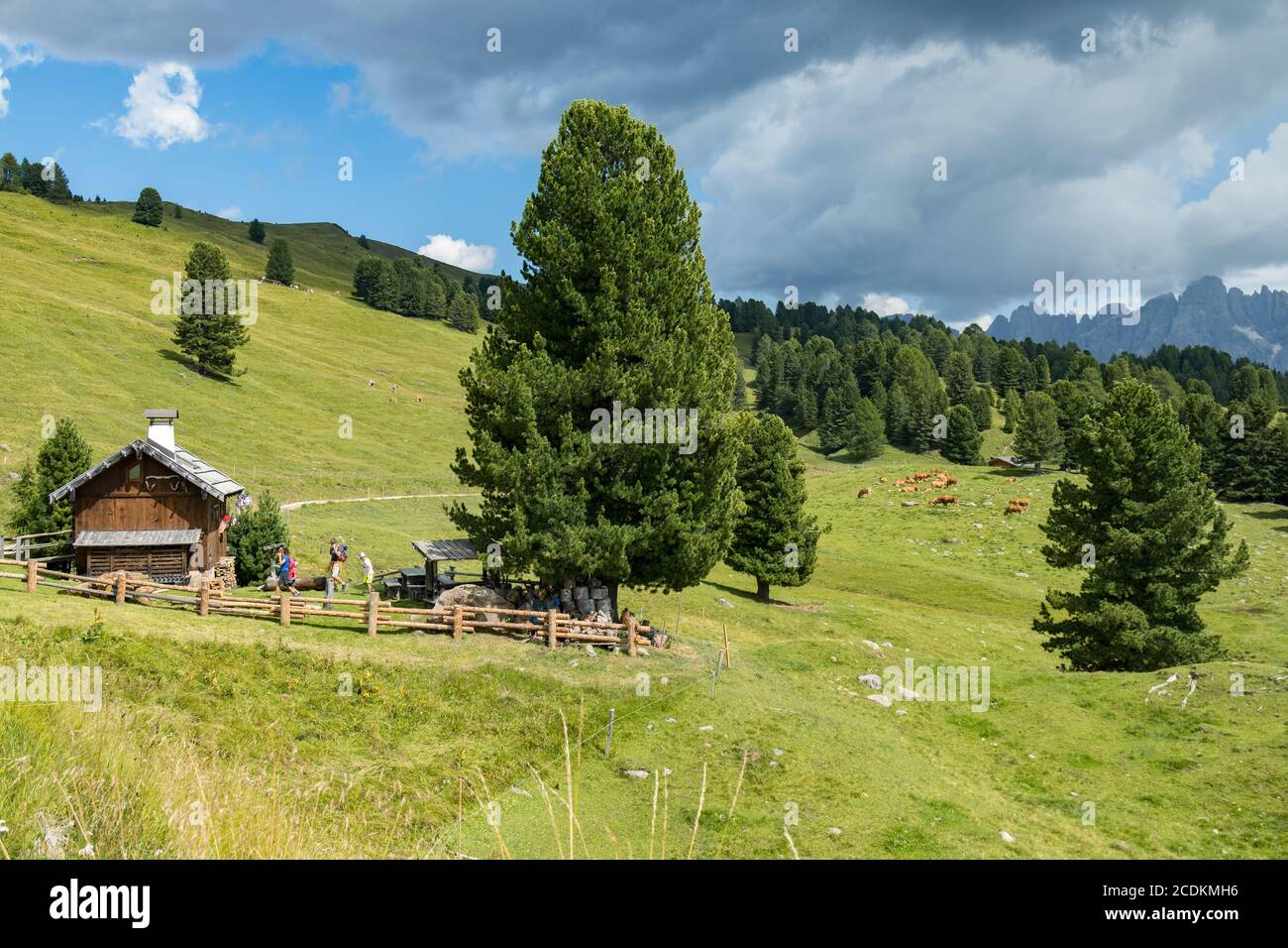 TONADICO, TRENTINO/ITALIEN - AUGUST 11 : Zuflucht im Naturpark Paneveggio Pale di San Martino in Tonadico, Trentino, Italien am 11. August 2020. Nicht identifizierte Personen Stockfoto