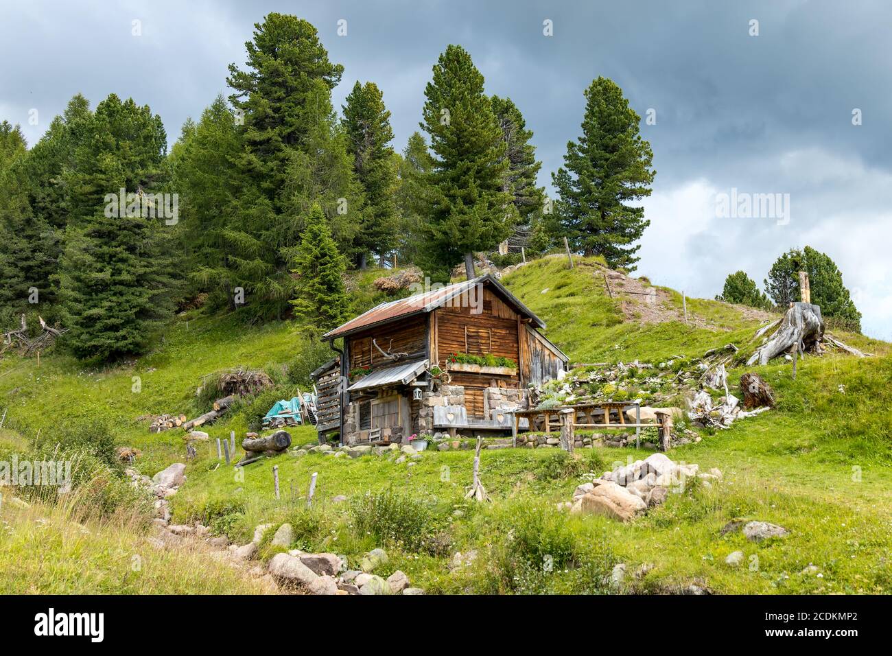 TONADICO, TRENTINO/ITALIEN - AUGUST 11 : Zuflucht im Naturpark Paneveggio Pale di San Martino in Tonadico, Trentino, Italien am 11. August 2020 Stockfoto