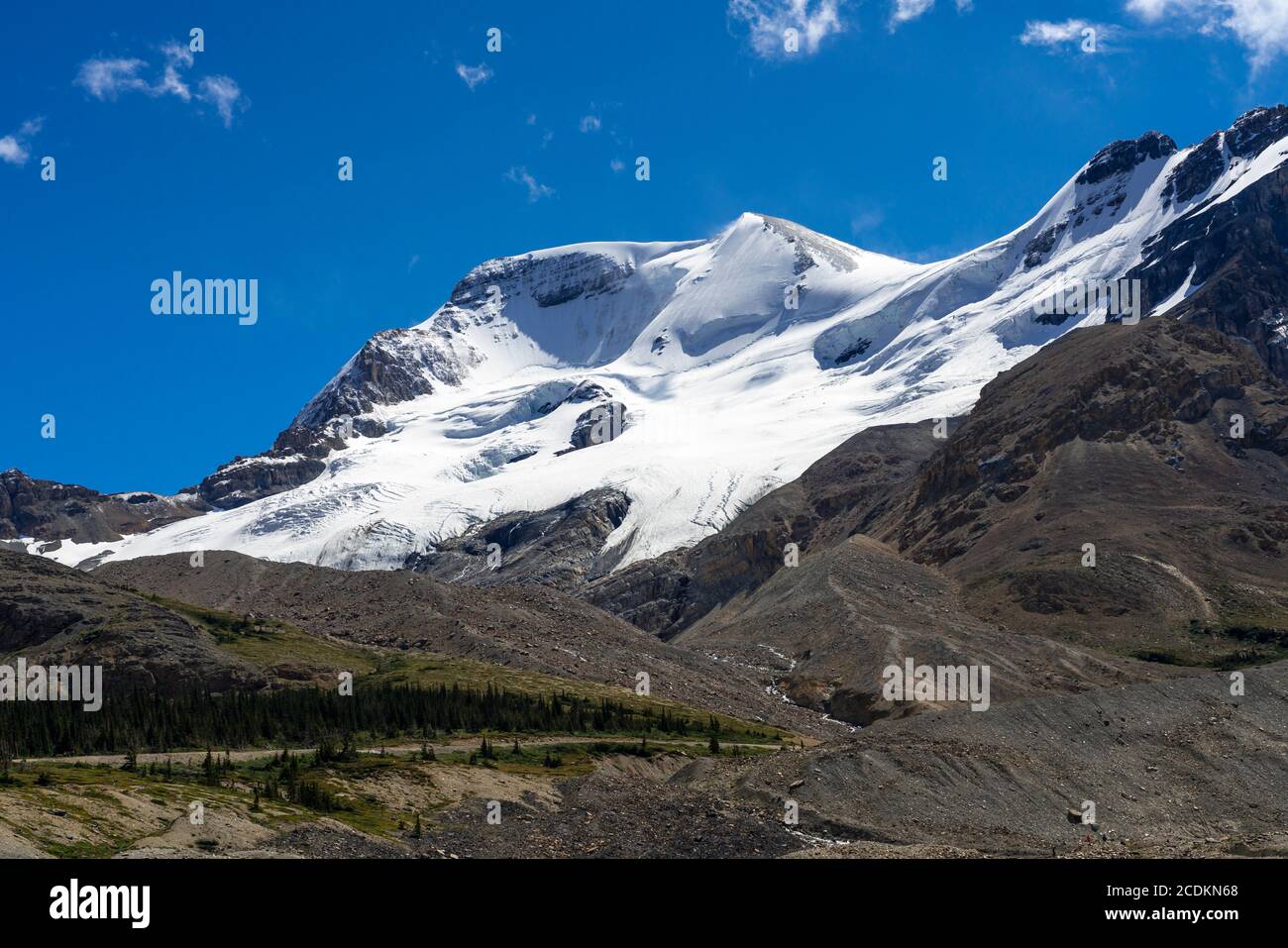 Die Columbia Icefields entlang des Icefields Parkway, alberta, Kanada. Stockfoto