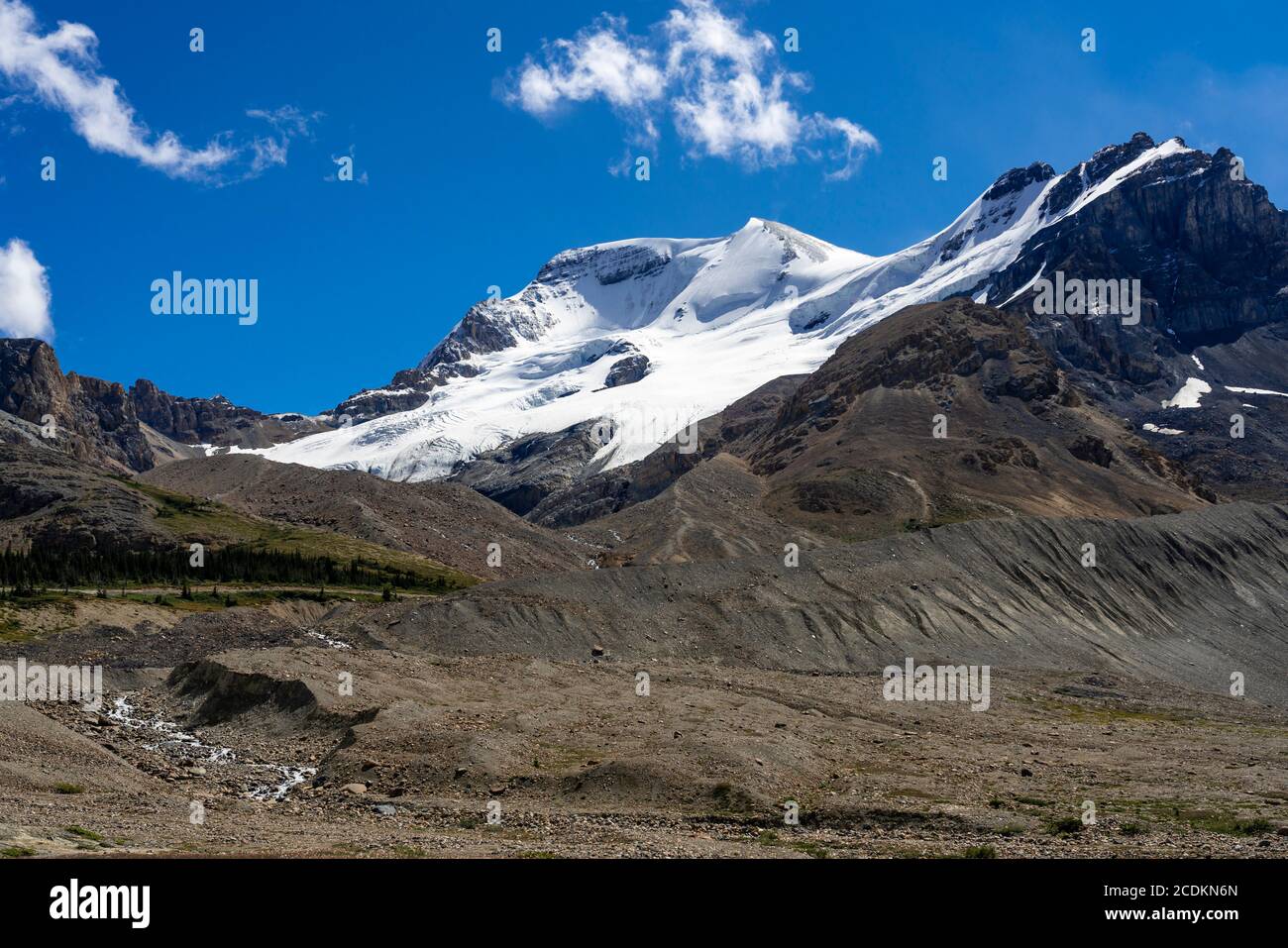 Die Columbia Icefields entlang des Icefields Parkway, alberta, Kanada. Stockfoto