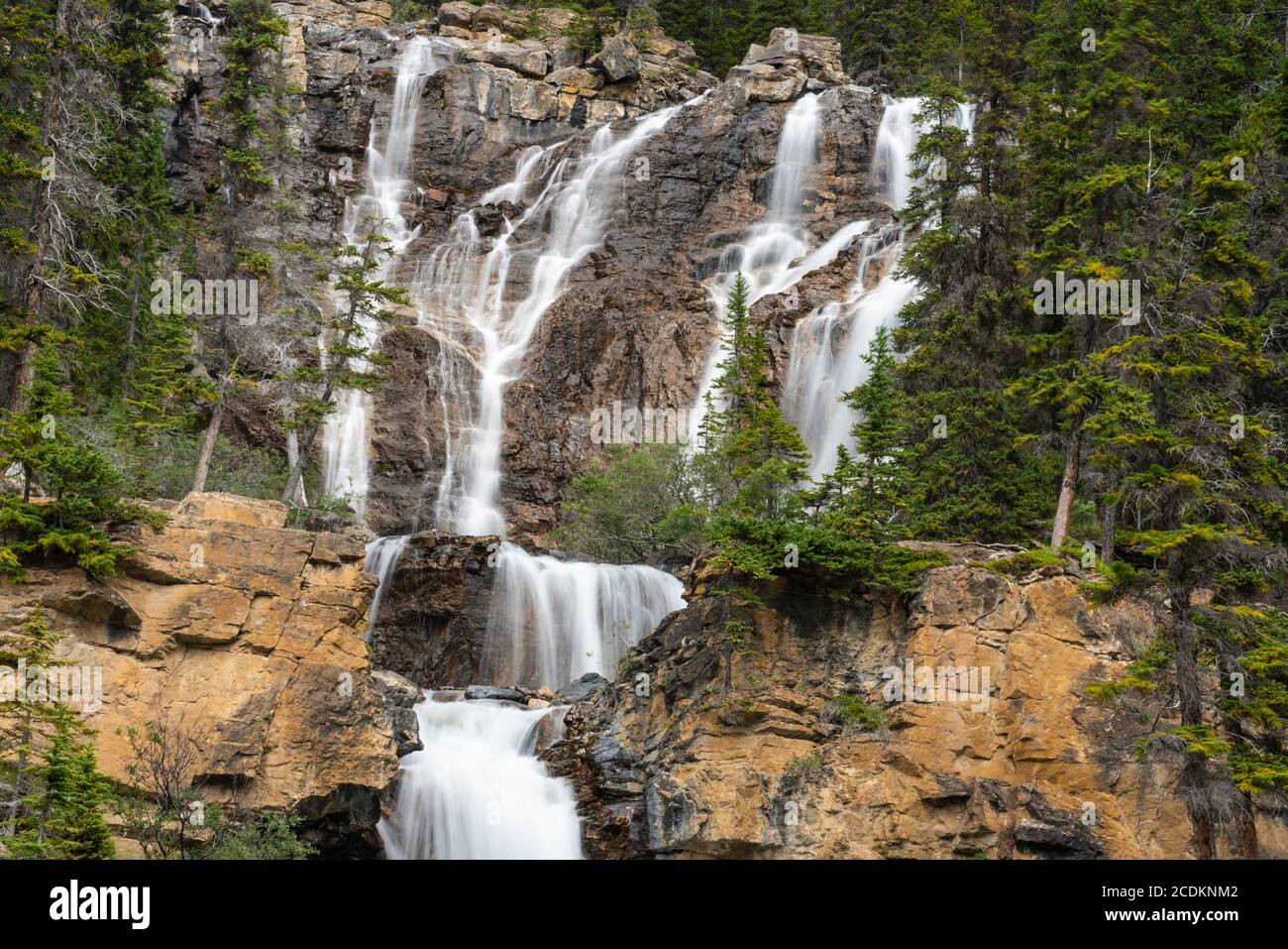 Tangle Creek Falls entlang des Icefields Parkway, Jasper National Park, Alberta, Kanada. Stockfoto