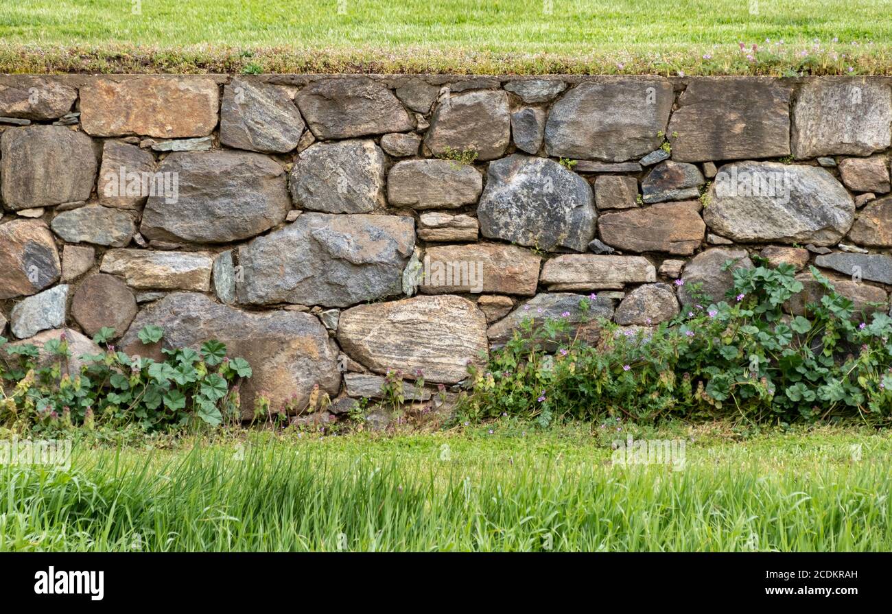 Dicht gebaute wunderschöne alte Steinmauer in einem Feld in Stroud Preserve, Chester County, Pennsylvania, USA Stockfoto