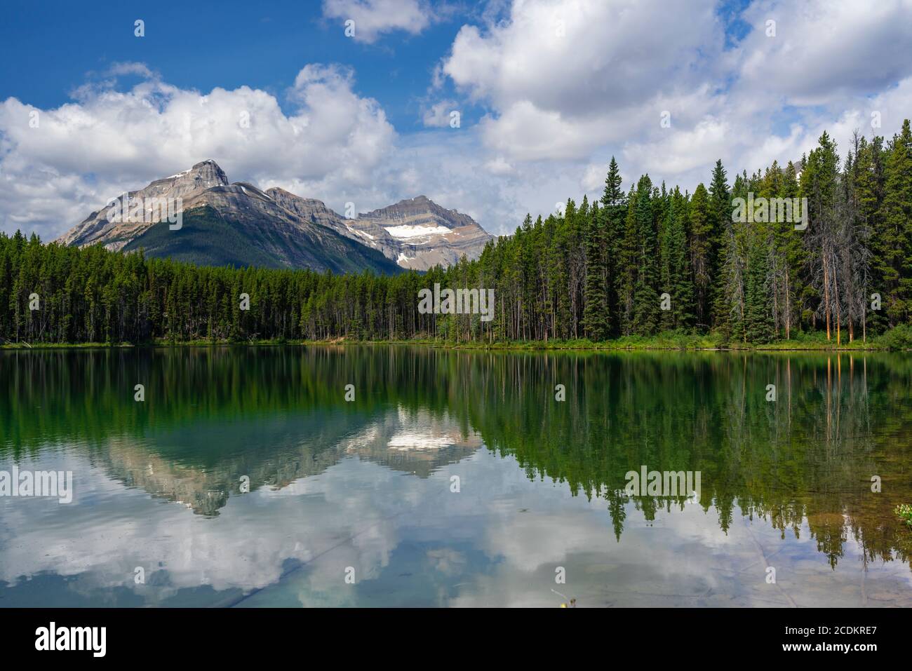 Herbert Lake Reflections im Banff National Park, Icefields Parkway, Alberta, Kanada. Stockfoto