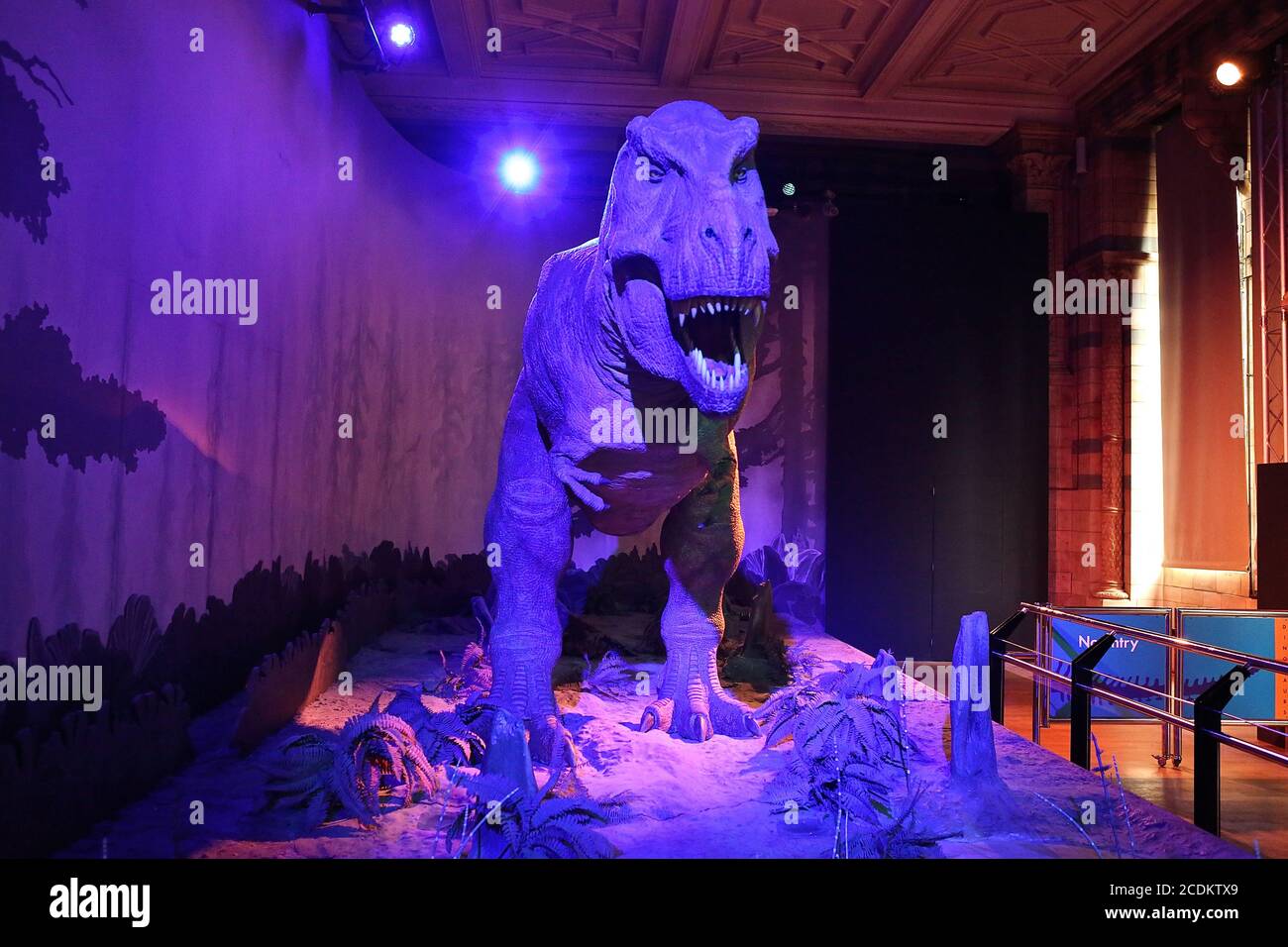 Die Zeit Dinosaurier Stockfotos Und Bilder Kaufen Alamy