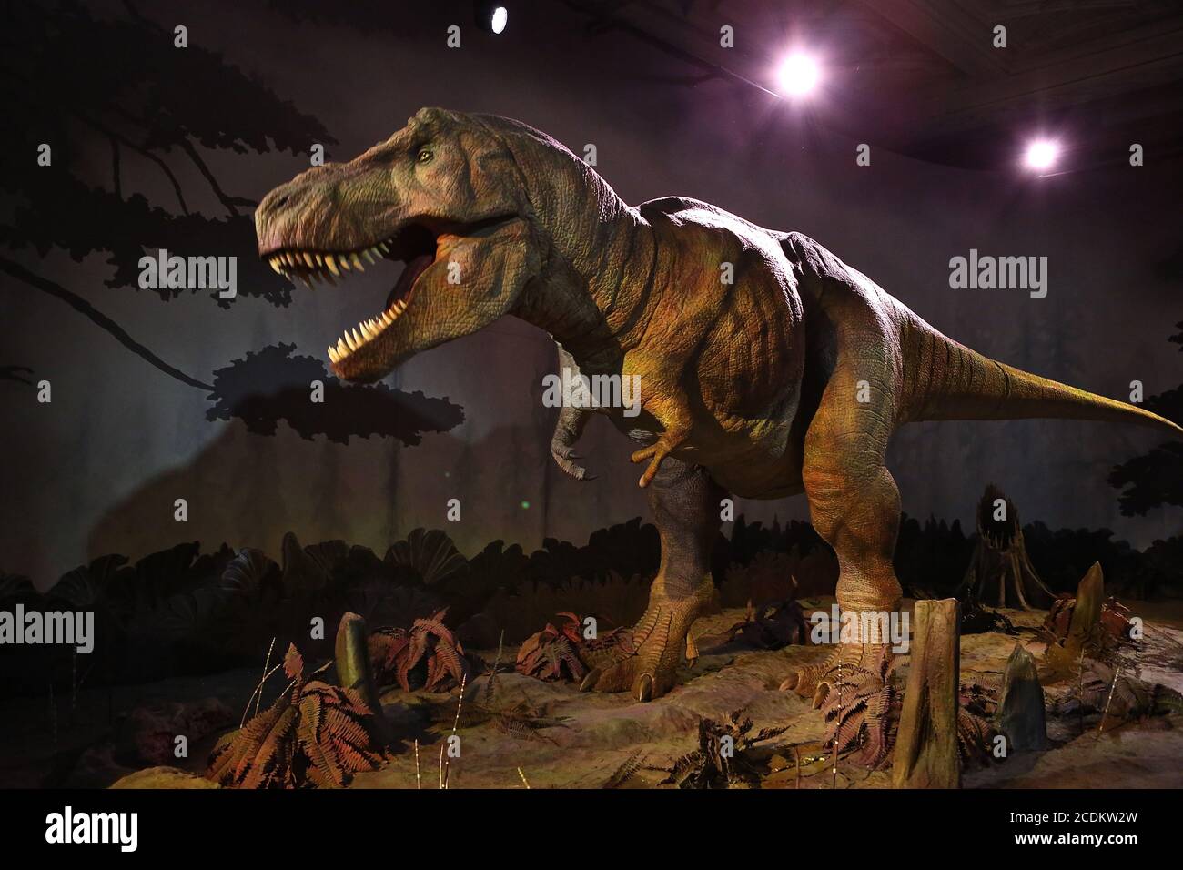 Die Zeit Dinosaurier Stockfotos Und Bilder Kaufen Alamy