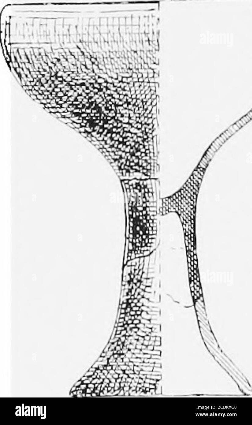 . Der Palast von Minos : ein vergleichender Bericht über die aufeinanderfolgenden Stadien der frühen kretischen Zivilisation, wie durch die Entdeckungen bei Knossos illustriert . jedoch sind von rötlichen Ton oft mit einem roten Wash.Another neolithischen Typ bedeckt, die einfache handllose Tasse der halbkugelförmigen Form, ist auch häufig (Feige. 16, /), sowie andere mit einem flachen Boden {j, k). Die 1 Seager, Mochlos, pp. 92, 93&gt; und Feige. 48, Nr. 29-42. Op. At., S. 9,3- ^^^ ^^ ?^- 58 DER PALAST VON MINOS, ETC. , • .t a n^destal (Abb. 17) und damit die Becher jetzt liefern, ho-ver,beg.r&gt; topresen. A pe^^^^^^^^^^^ ^) ^^^ ^^^^ ^^^^^^^.^^ p Stockfoto