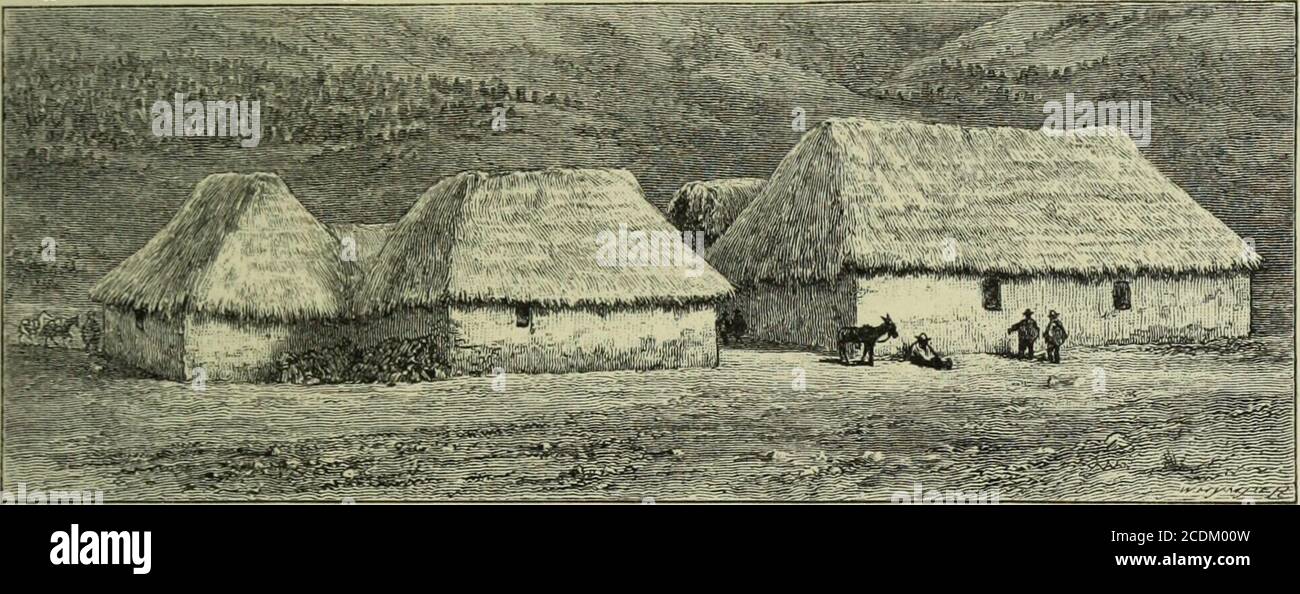 . Reisen unter den großen Anden des Äquators . sehr Tag vom 28. Dezember bis einschließlich 12. Januar, und einige waren extrem gewalttätig.Diese selten vor Mittag aufgetreten. Schnee fiel um uns jeden Tag, im Durchschnitt, in einem Ausmaß von vielleicht drei Zoll pro Tag. Der Schnee war gewöhnlich nass, und in kleiner Flake6. Trockener, pulverförmiger Schnee kam nicht vor. Hagel fiel, aber nicht in Mengen oder in Pellets von großer Größe. Die extremen Temperaturen in den Lagern waren 72 Grad 5 Faht. Um 11 Uhr, im Zelt im zweiten Lager am 9. Januar und 17 Grad Faht., das Minimum der Nacht vom 5. Januar, im dritten Lager. Kap. iv. DER Stockfoto