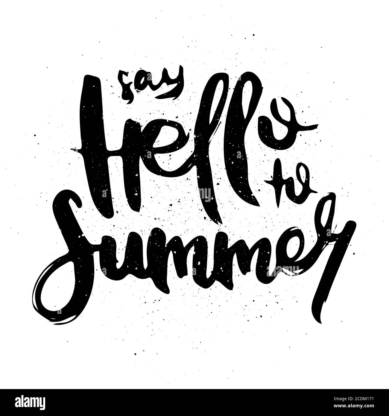 Sagen Sie Hallo Zum Sommer. Vektor motivierende Phrase. Handgezeichnete, verzierte Schriftzüge. Handgezeichneter Doodle-Druck Stock Vektor