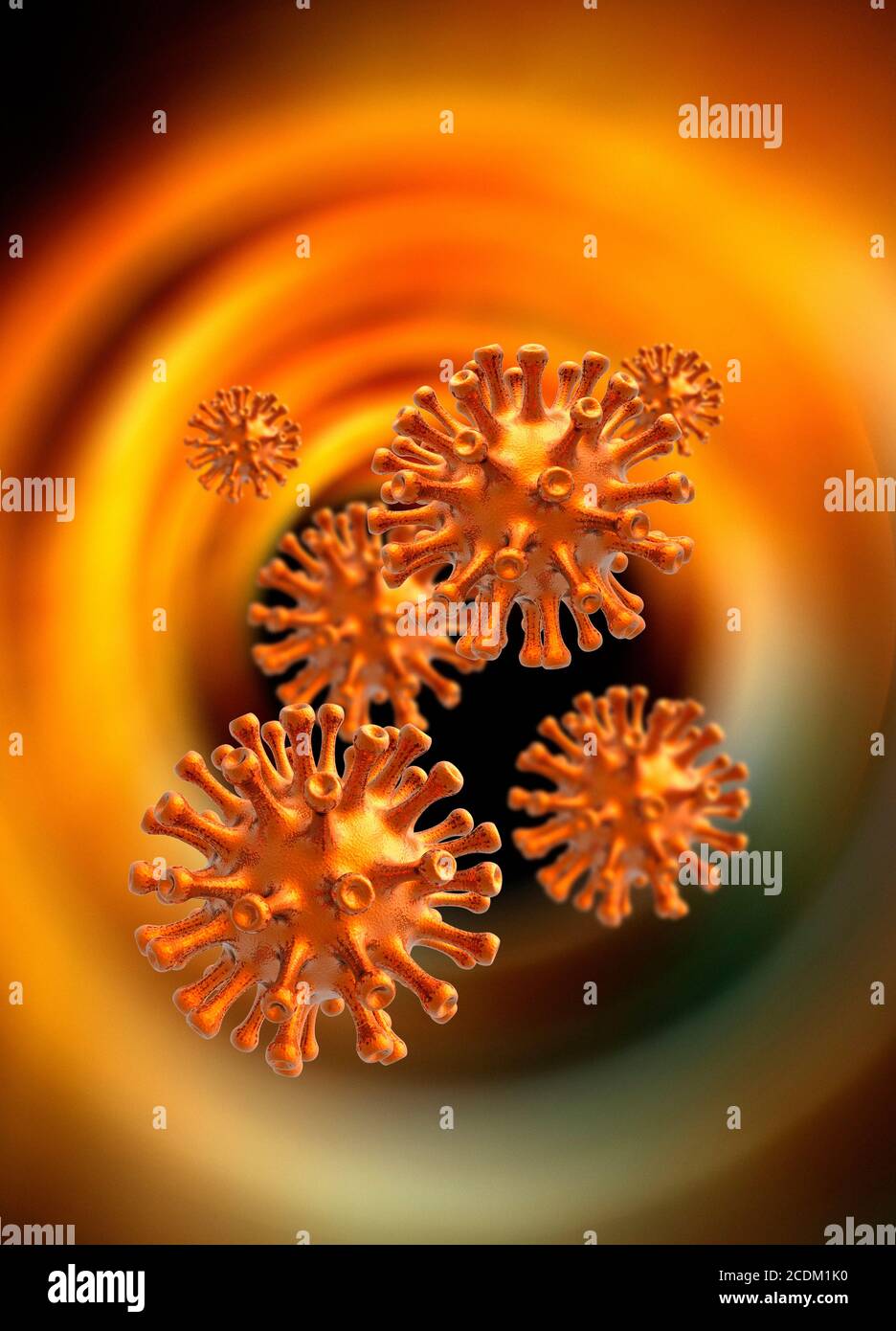 Coronavirus-Partikel, konzeptuelle Illustration. Stockfoto