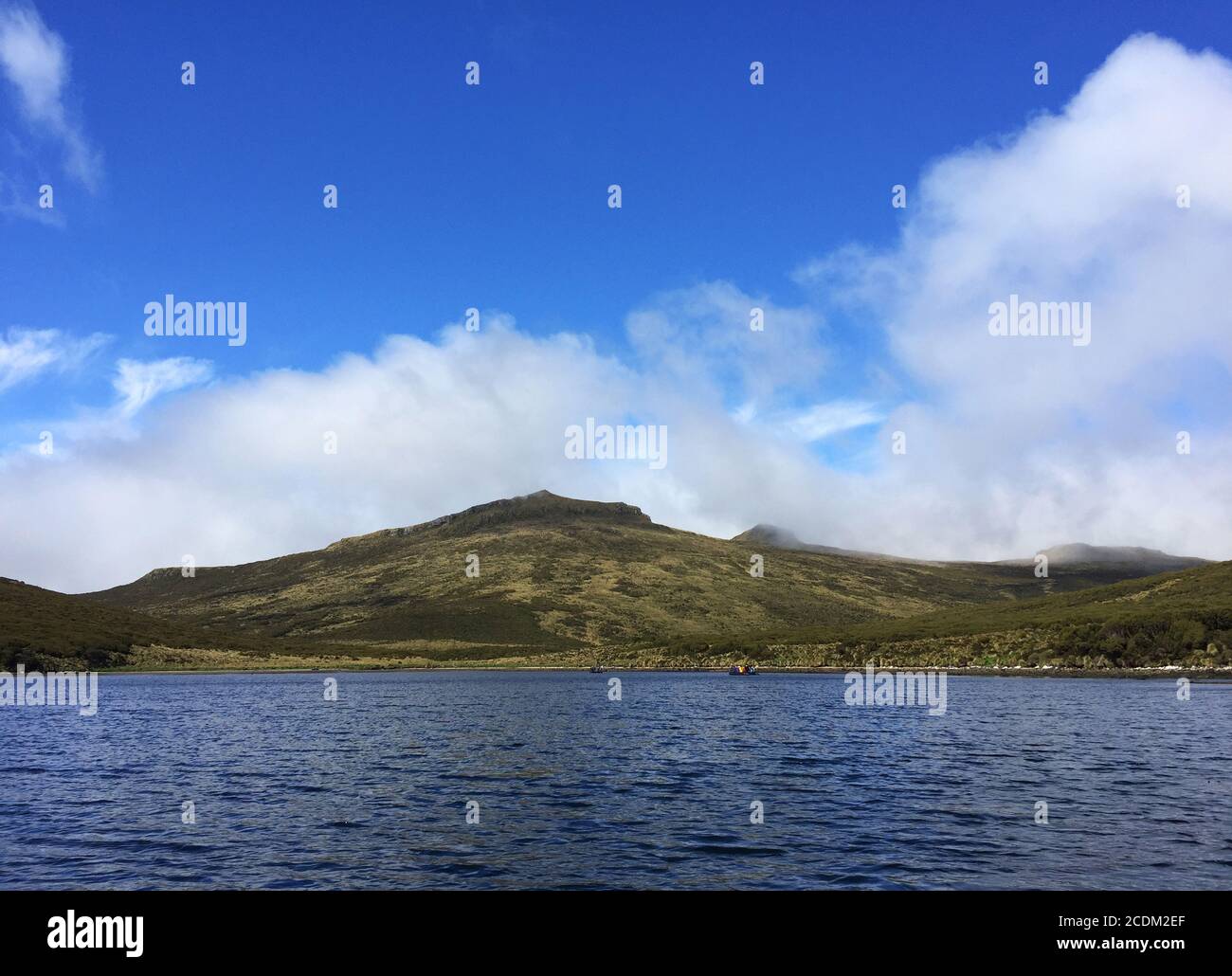 Campbell Island, Neuseeland, Campbell Island Stockfoto