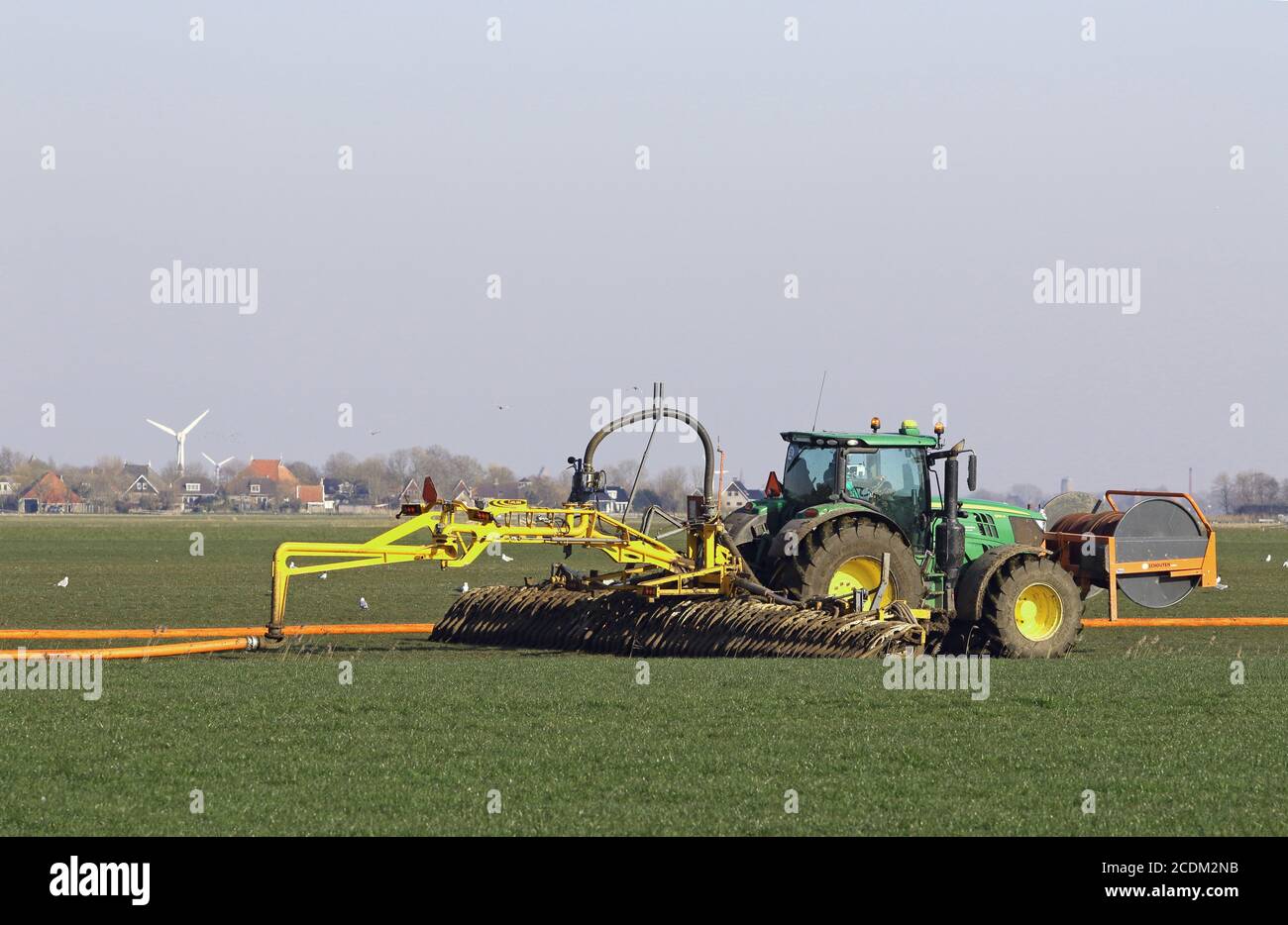 Anwendung von Gülle auf grönland, Niederlande, Friesland Stockfoto