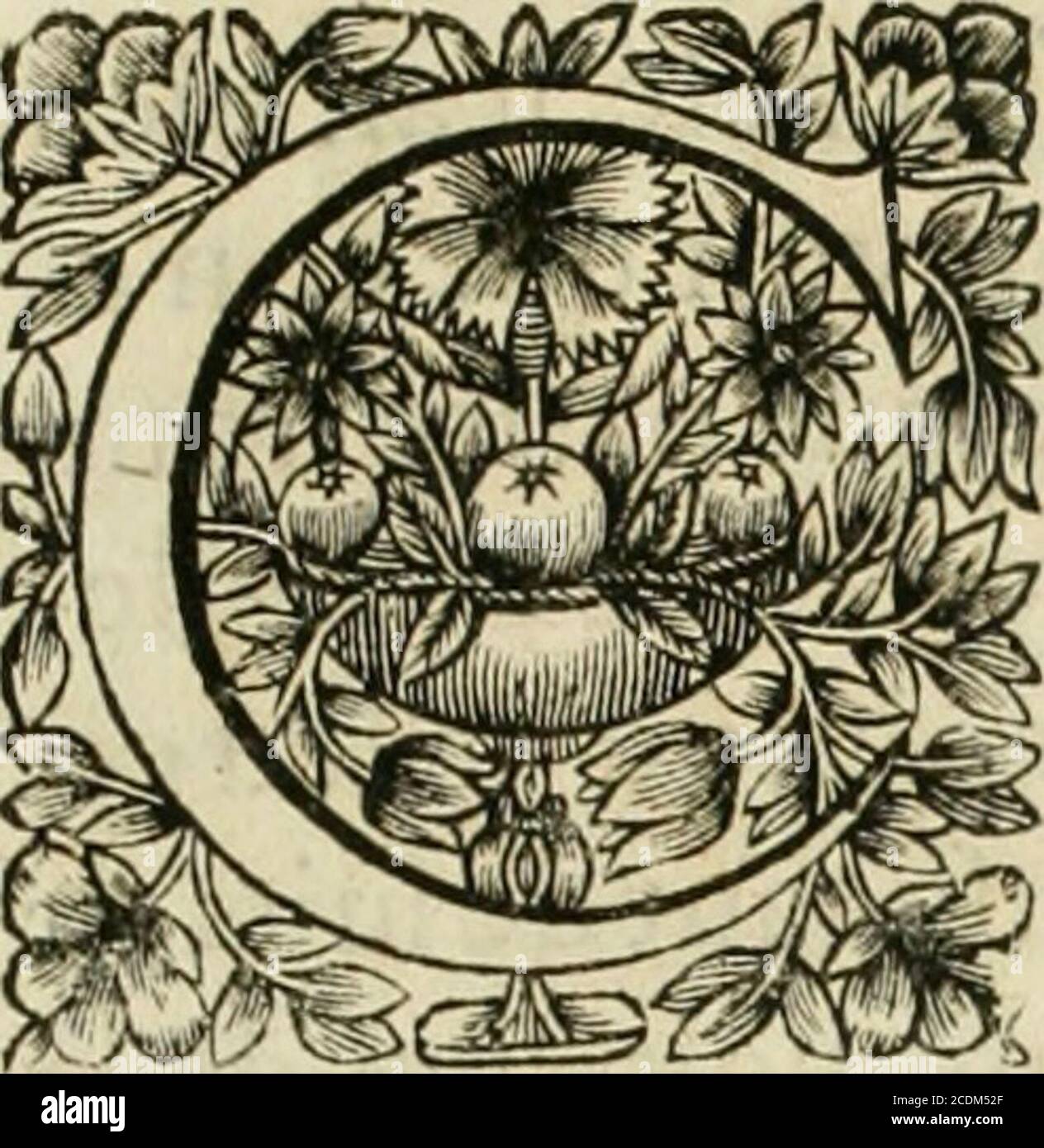 . Tableaux du Temple des Muses : tirez du cabinet de feu Mr. Fauereau, conseiller du roy en sa Cour des aydes, & grauez en tailles-douces par les meilleurs maistres de son temps, pour remoderator les vertus & les vices, sur les plus illustres fables de l'antiquité . ri oy n^a/j PP Il oincth (C icfiodui Theoooniâ. 43. P R OETHEE. VI *EFT ICY le Mont Cancafe, &: le lieu où cegrand Corps cft cnchaifnc fî étroitement,a efté choifi tout exprès pour ly attacher,parce quil eft exempte de neige, afin queles boucles de fer quon y a mifes pour lac-crocher, y tiennent plus ferme dans lescrampons quon Stockfoto