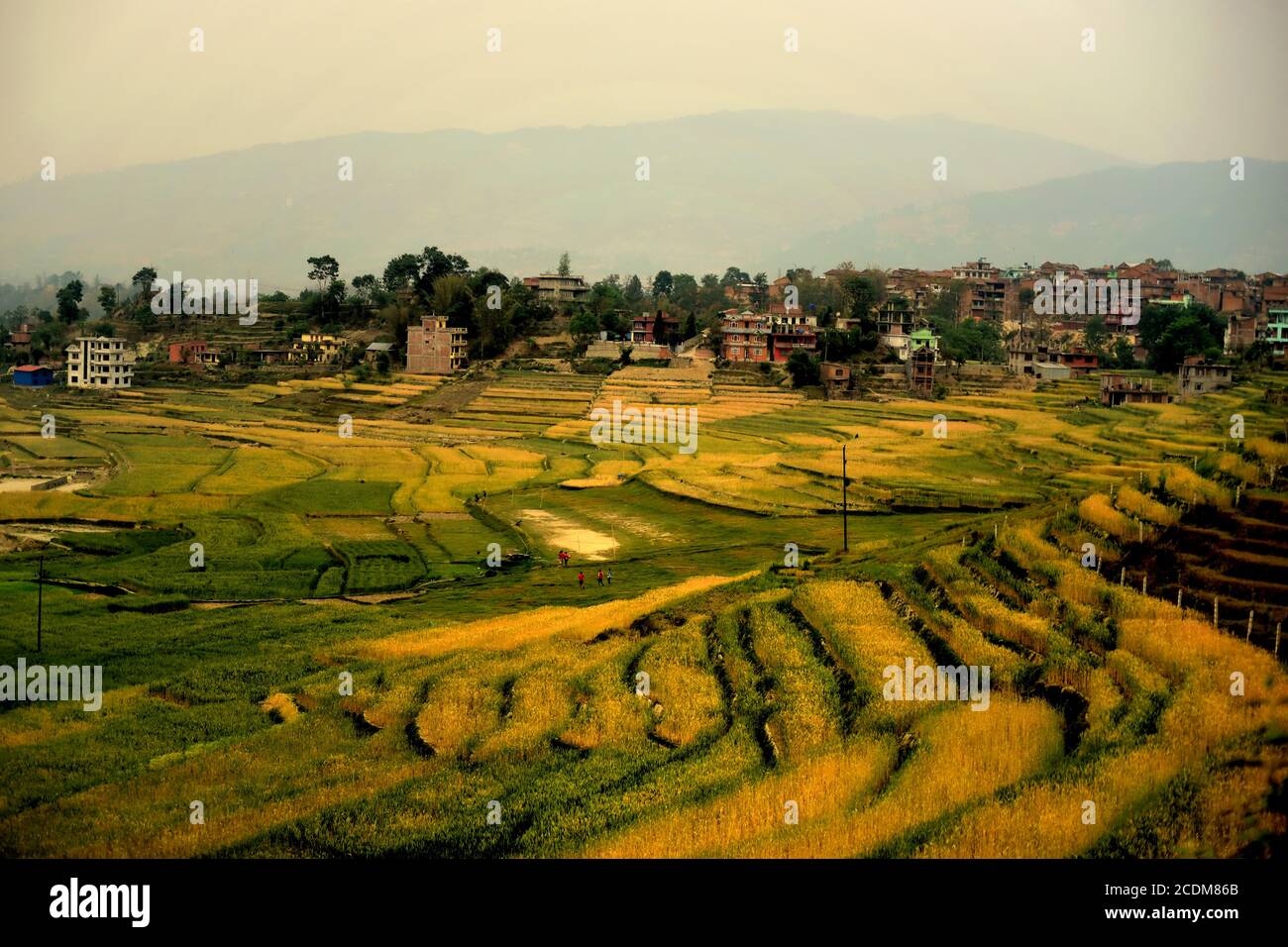 Landwirtschaftliche Felder am Stadtrand von Kathmandu, Bagmati Pradesh Provinz, Nepal. Stockfoto