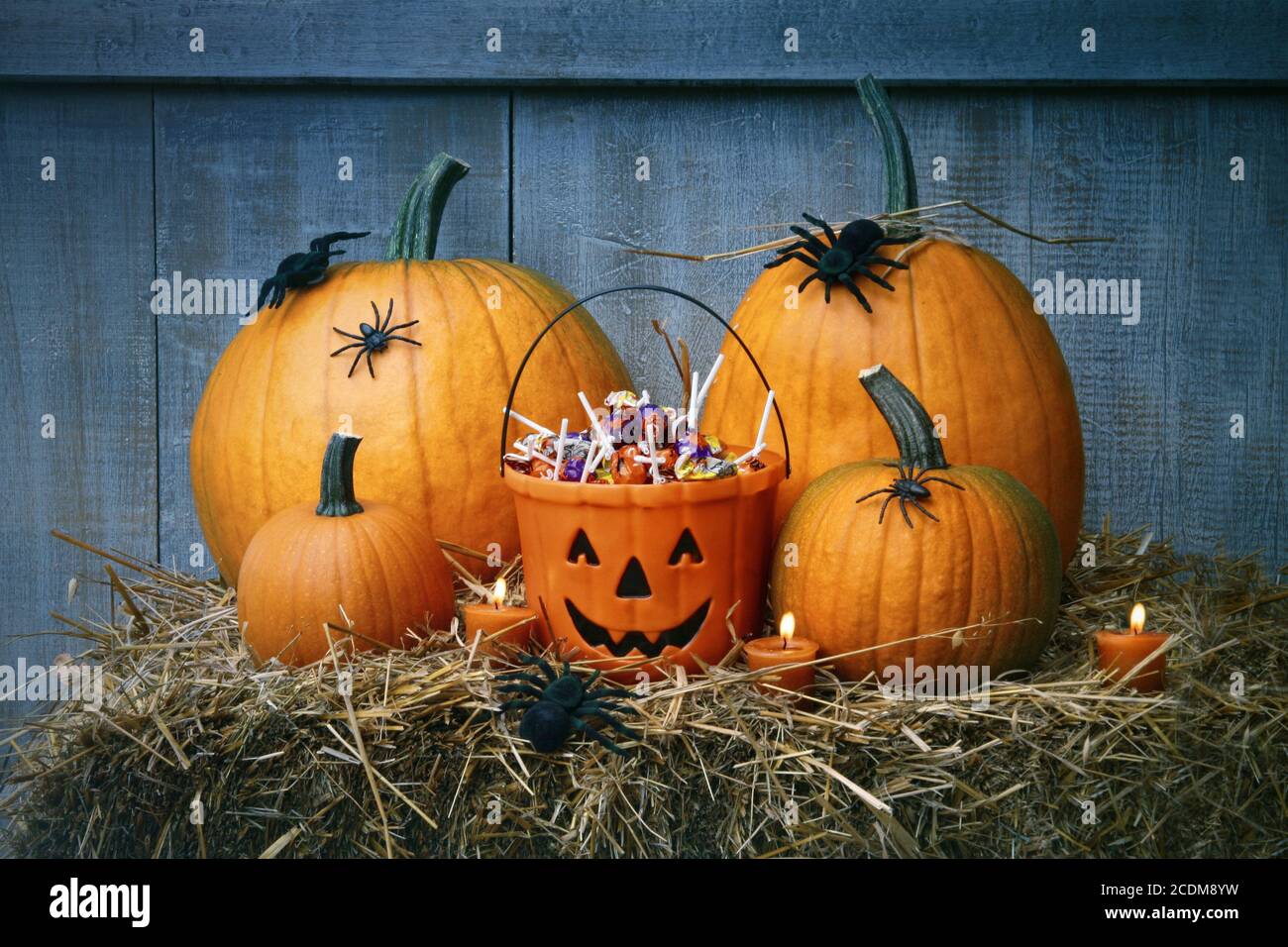 Kürbisse, Spinnen und Halloween Süßigkeiten auf Stroh Stockfoto