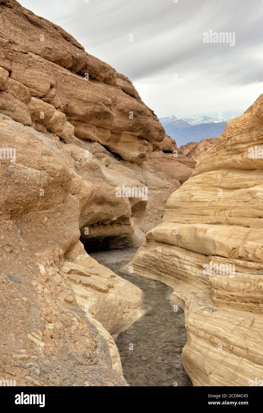 Eine schmale Schlucht mit bufffarbenen, reich geschichteten Wänden schlängelt sich in Richtung entfernter schneebedeckter Berge Stockfoto