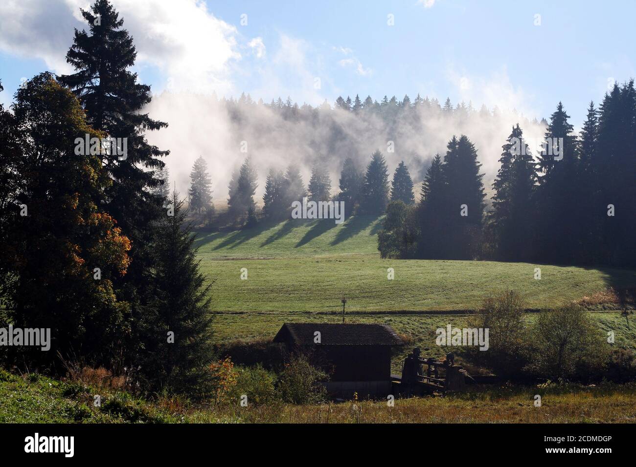 Bernau im Schwarzwald Stockfoto