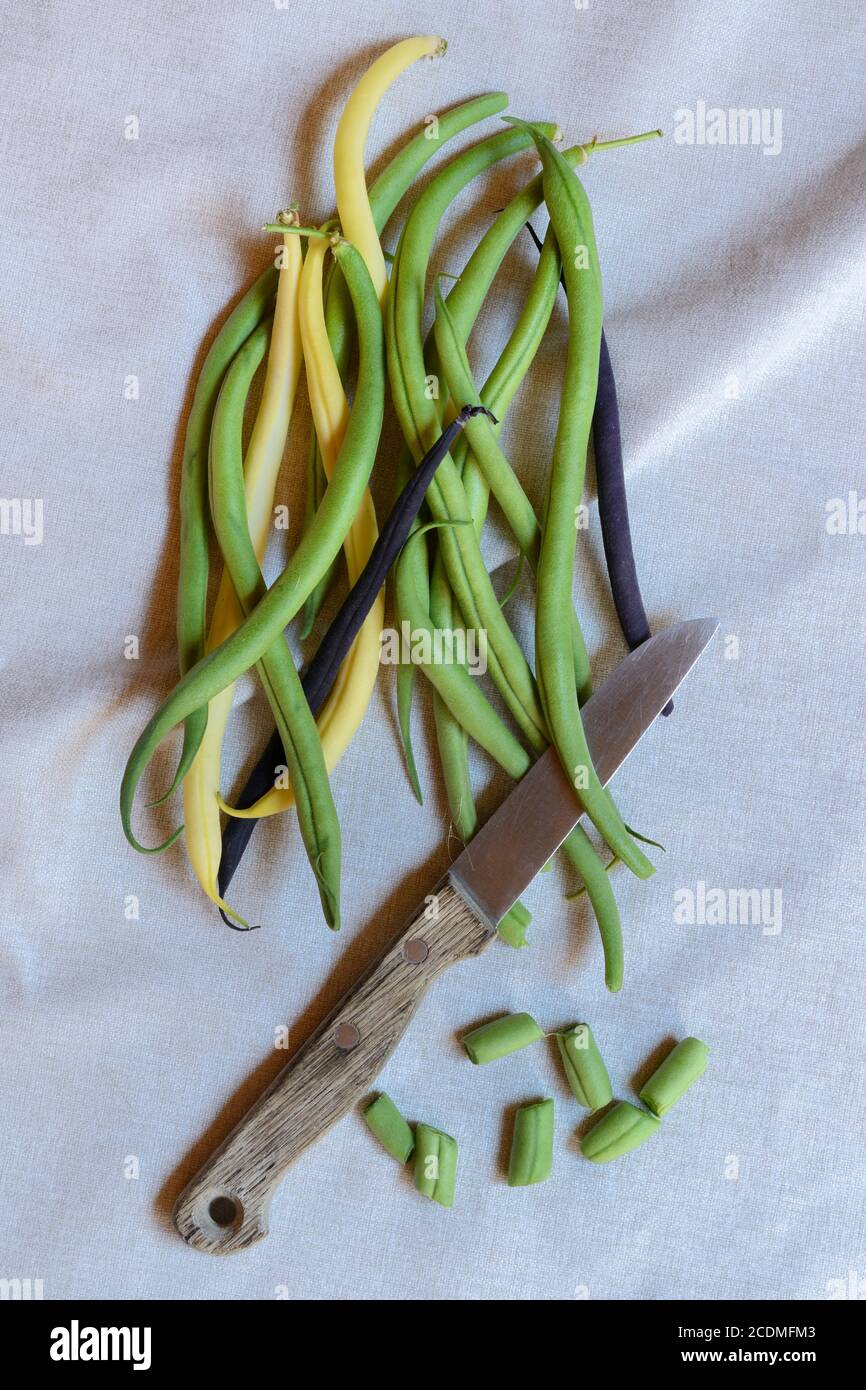 Grüne, gelbe und schwarze Bohnen mit Küchenmesser, Deutschland Stockfoto