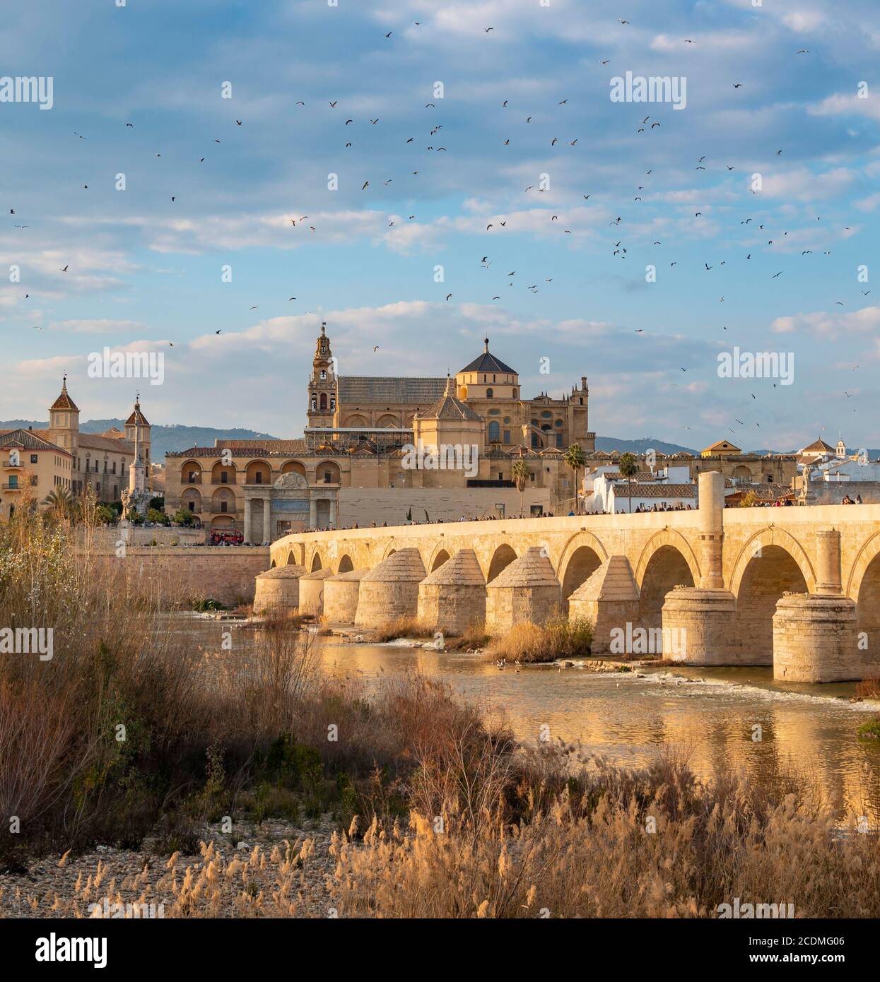 Puente Romano, römische Brücke über Rio Guadalquivir, hinter Mezquita, Catedral de Cordoba, Cordoba, Andalusien, Spanien Stockfoto