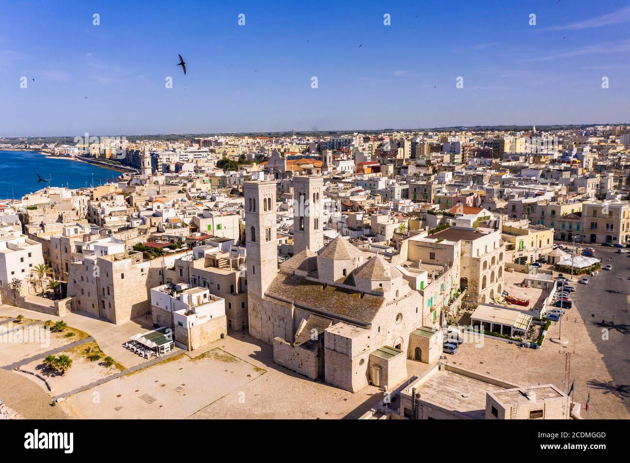 Luftaufnahme, Altstadt und Hafen, Dom Vecchio, San Corrado, Molfetta, Provinz Bari, Apulien, Italien Stockfoto