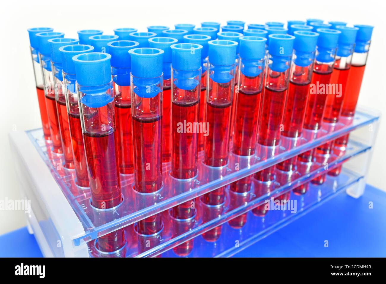 Symbolisches Bild von Impfstoff gegen Corona, Coronakrise, Deutschland Stockfoto