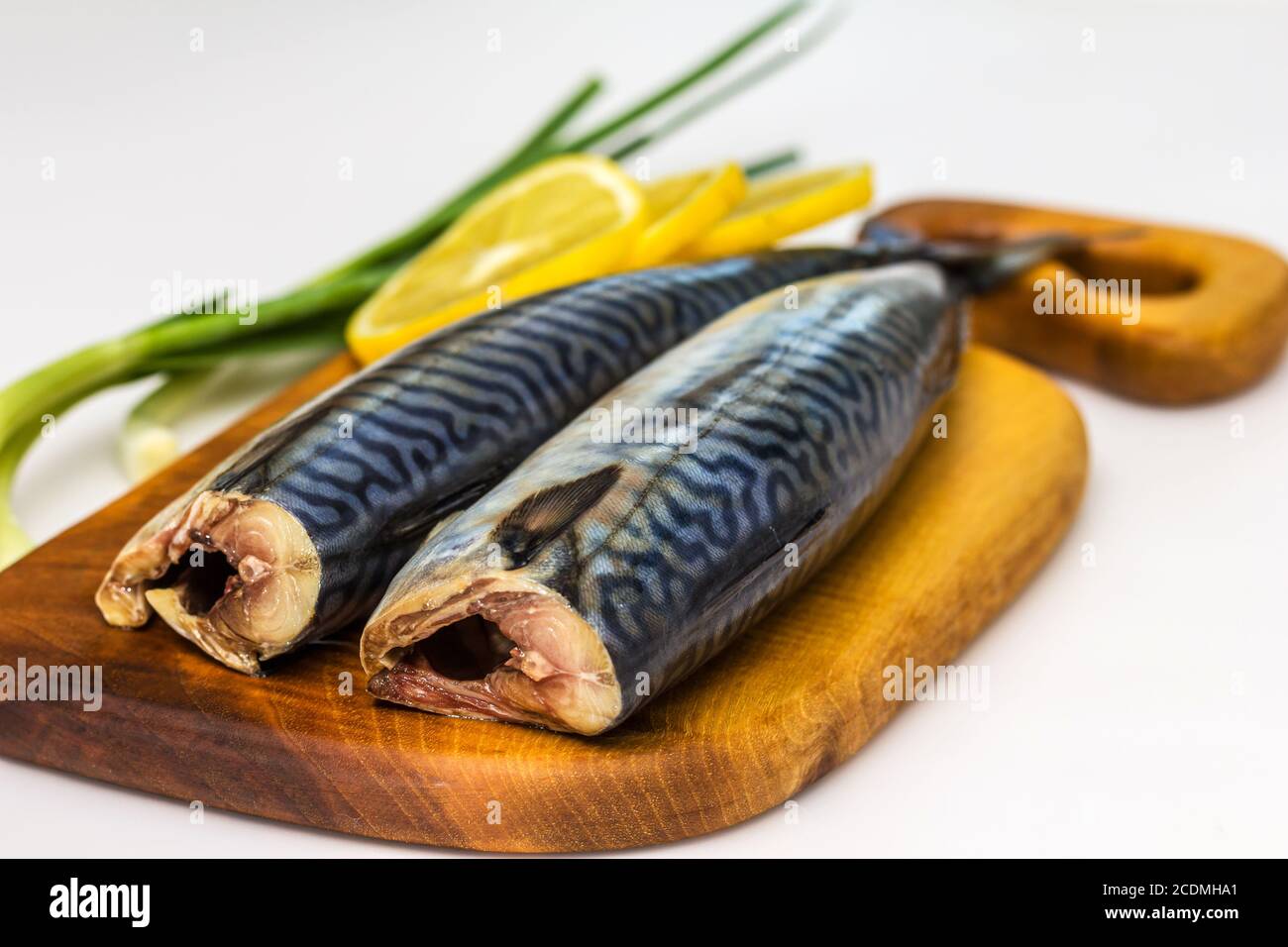 Makrele Fisch (Scomber Scrombrus) auf weißem Hintergrund Stockfoto