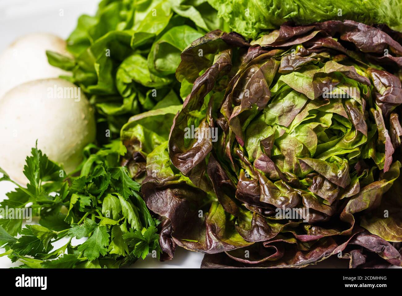 Verschiedene Sommergemüse - Petersilie, Salat, Pilze Stockfoto