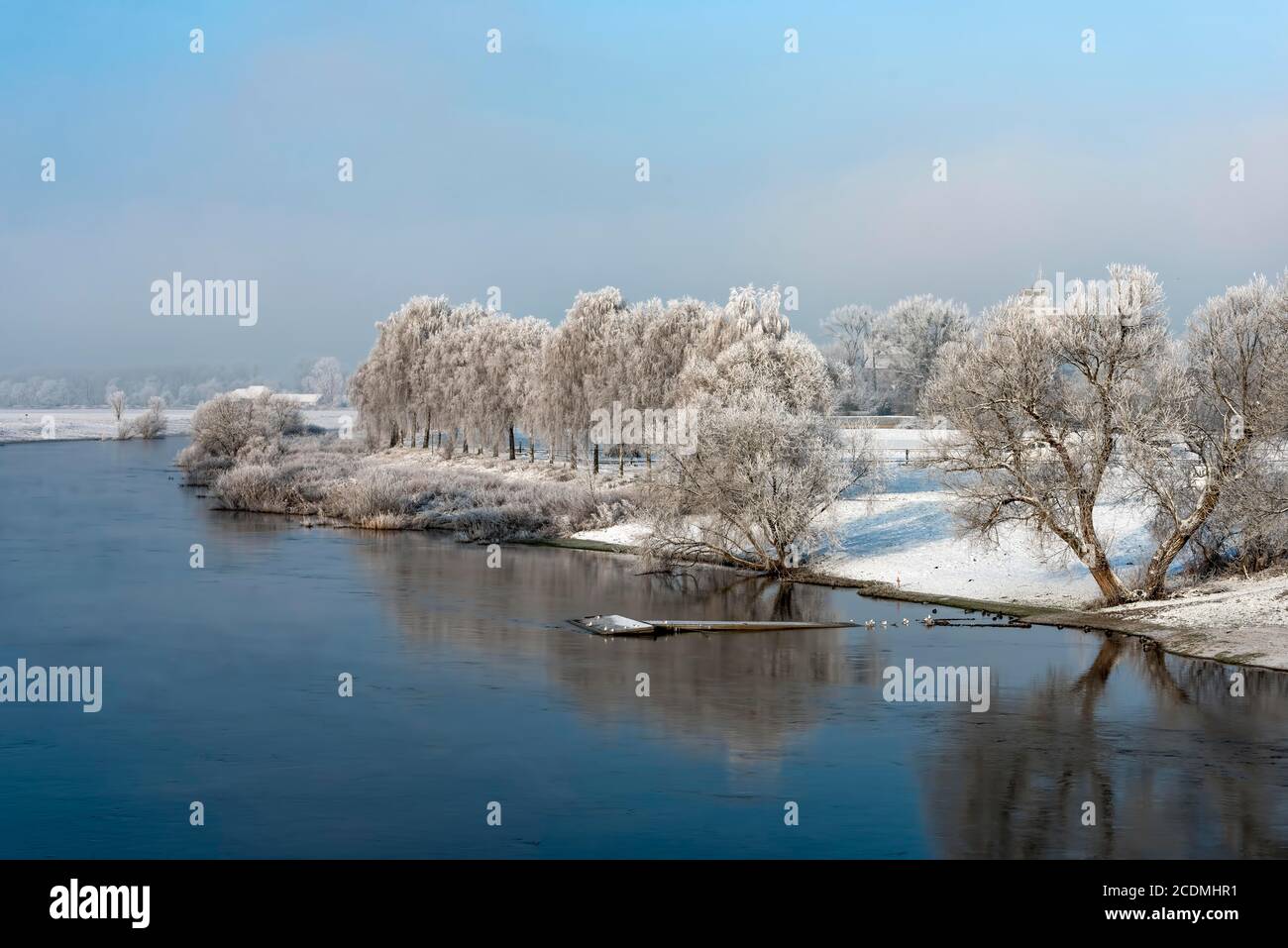 Winterstimmung im Raureif an der Weser, Rinteln, Deutschland Stockfoto